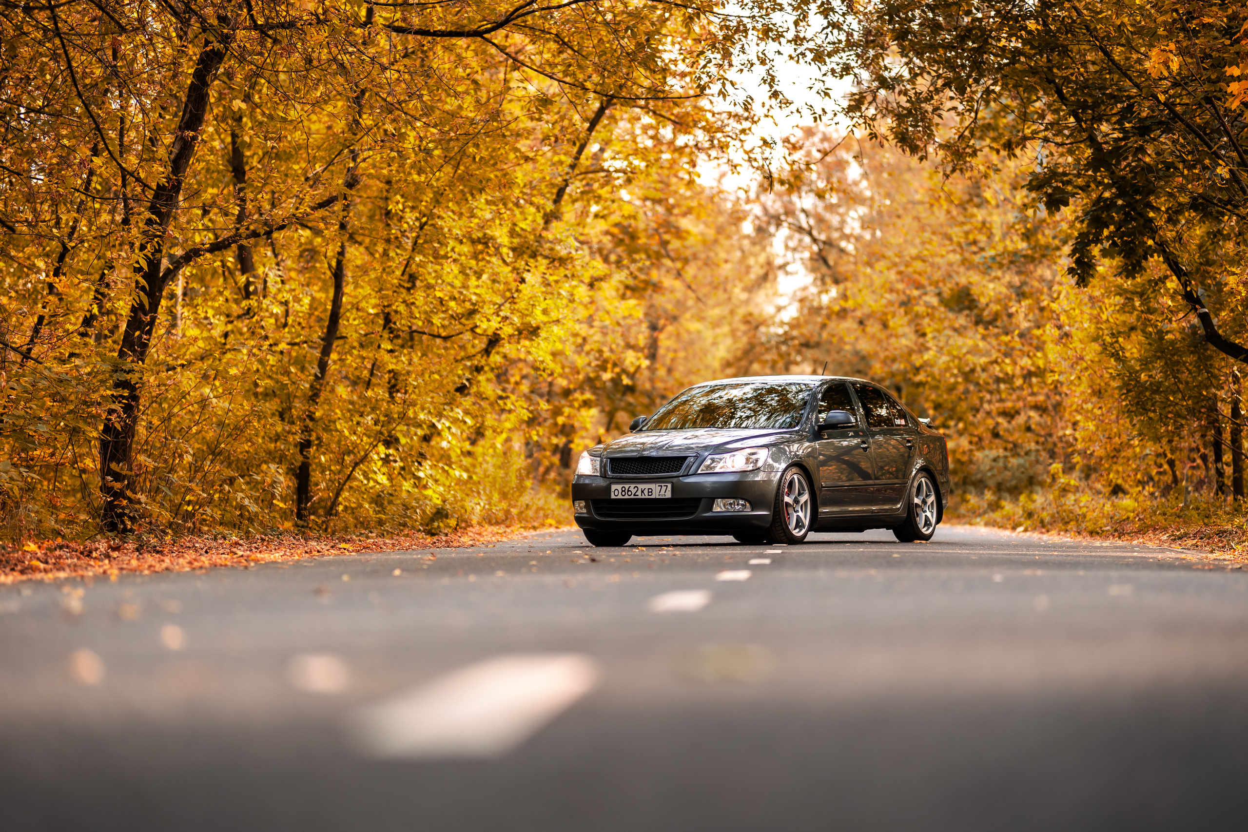 Rigshot Skoda Octavia REVO. Фотограф Сергей Лукьянов @xapeton_photo Москва