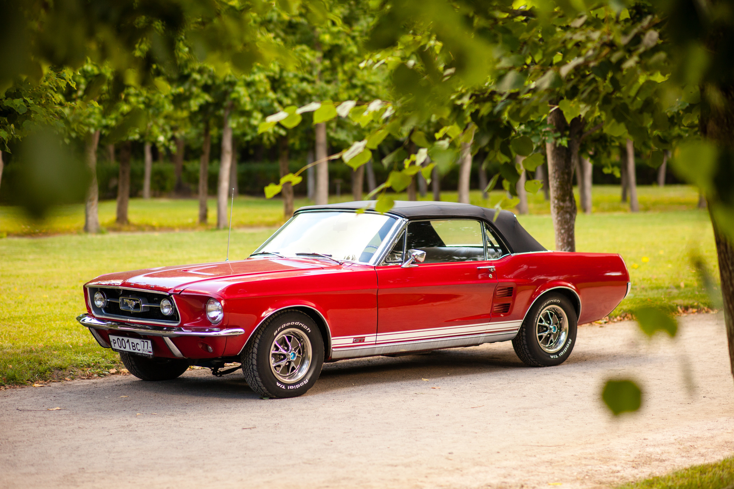 Автокультура в Архангельском