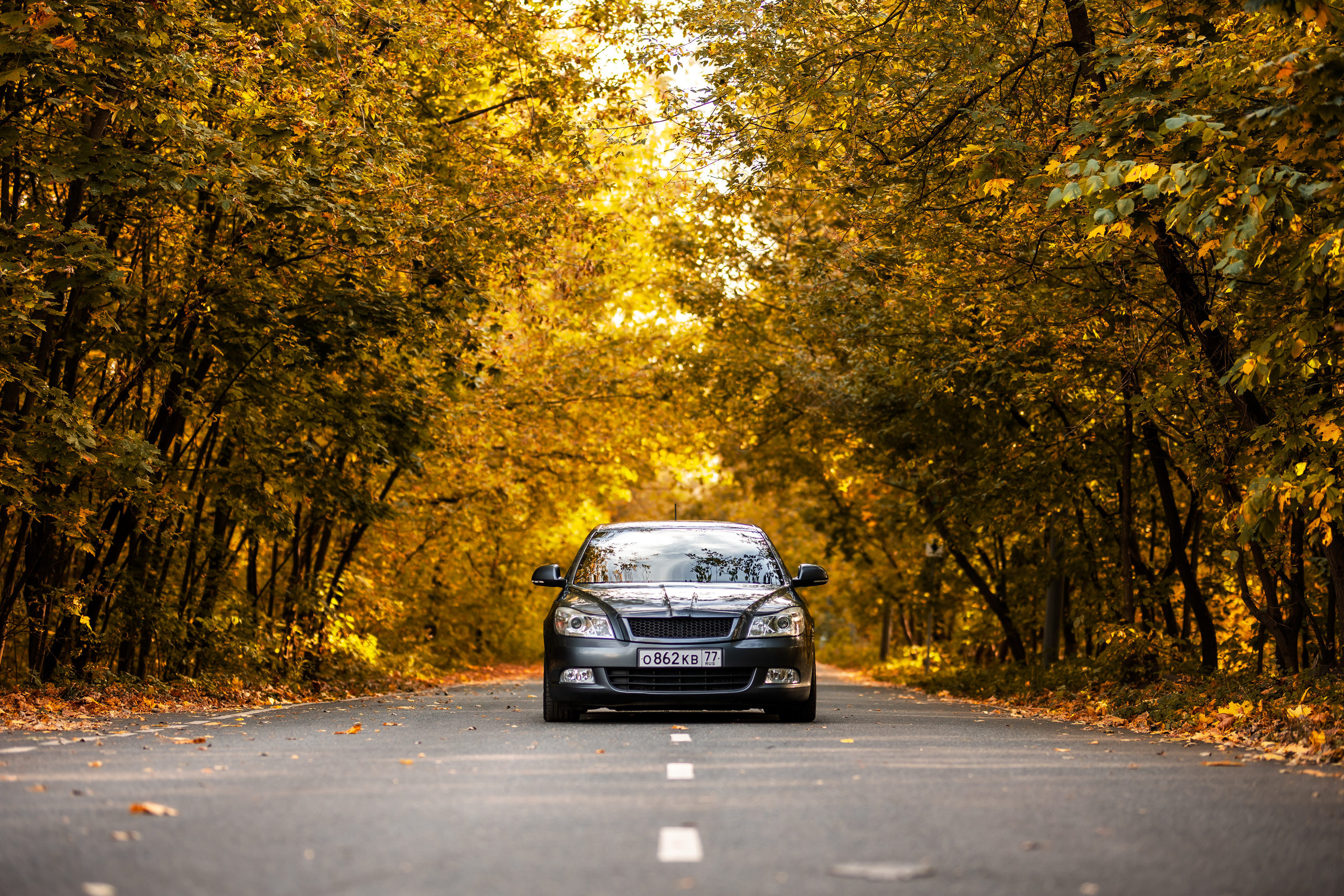 Rigshot Skoda Octavia REVO. Фотограф Сергей Лукьянов @xapeton_photo Москва