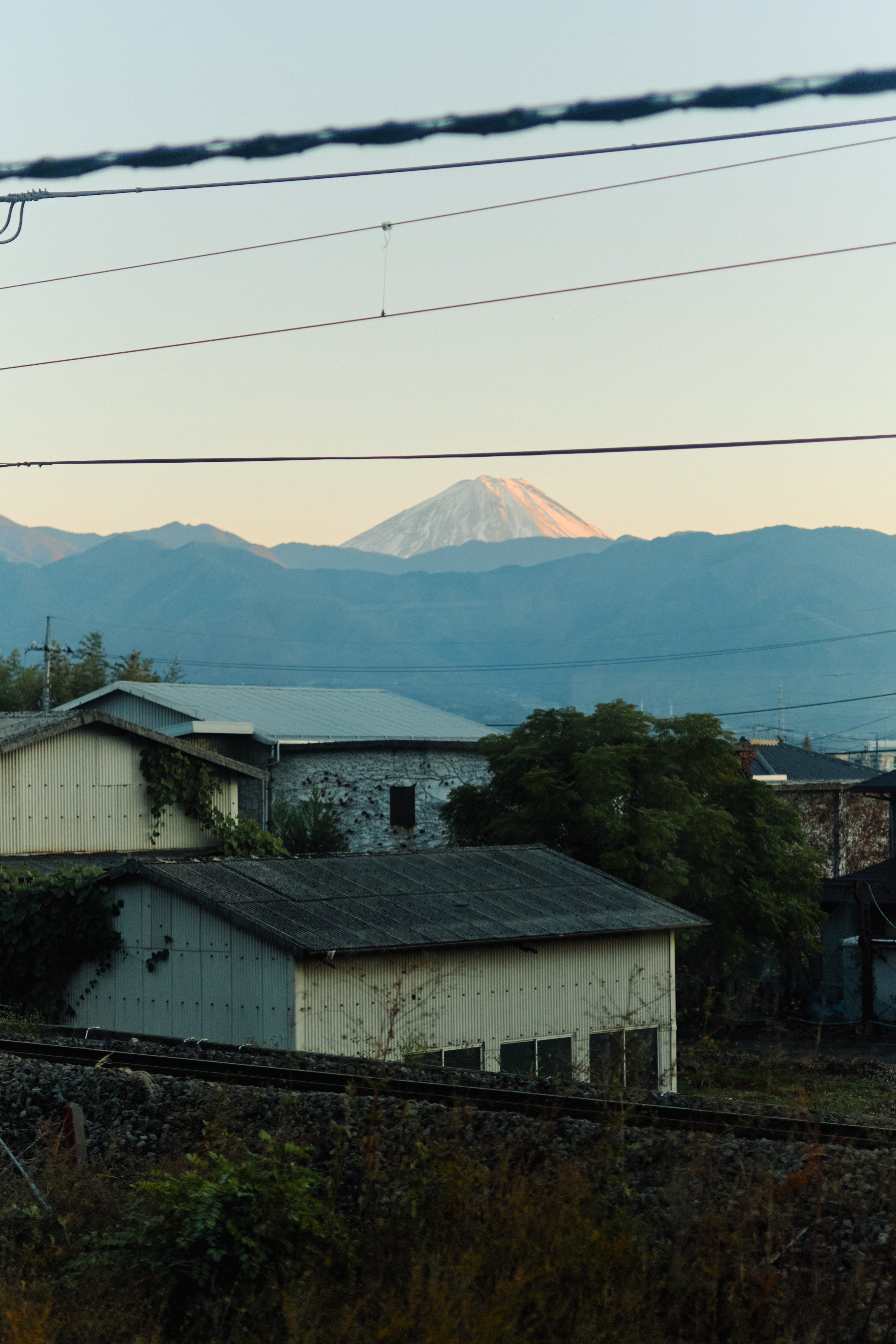 Япония. Профессиональный Фотограф во Владимире, в Москве и в Суздале — Полина Романычева