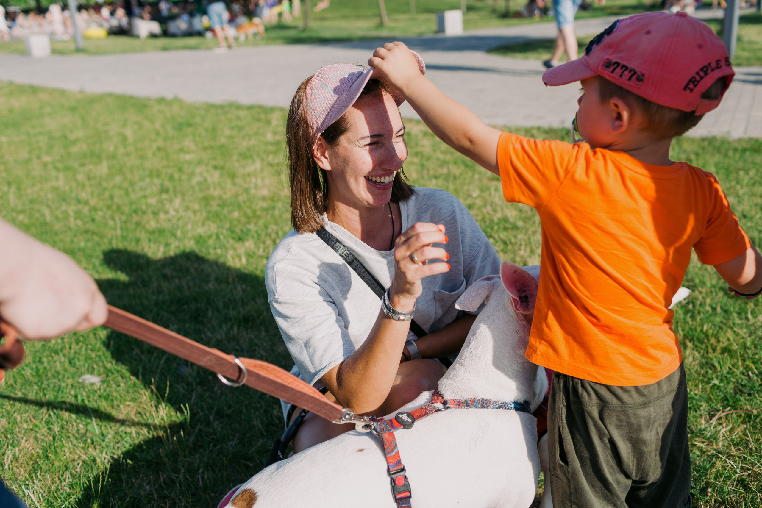 Dog Fest 2024. Главная