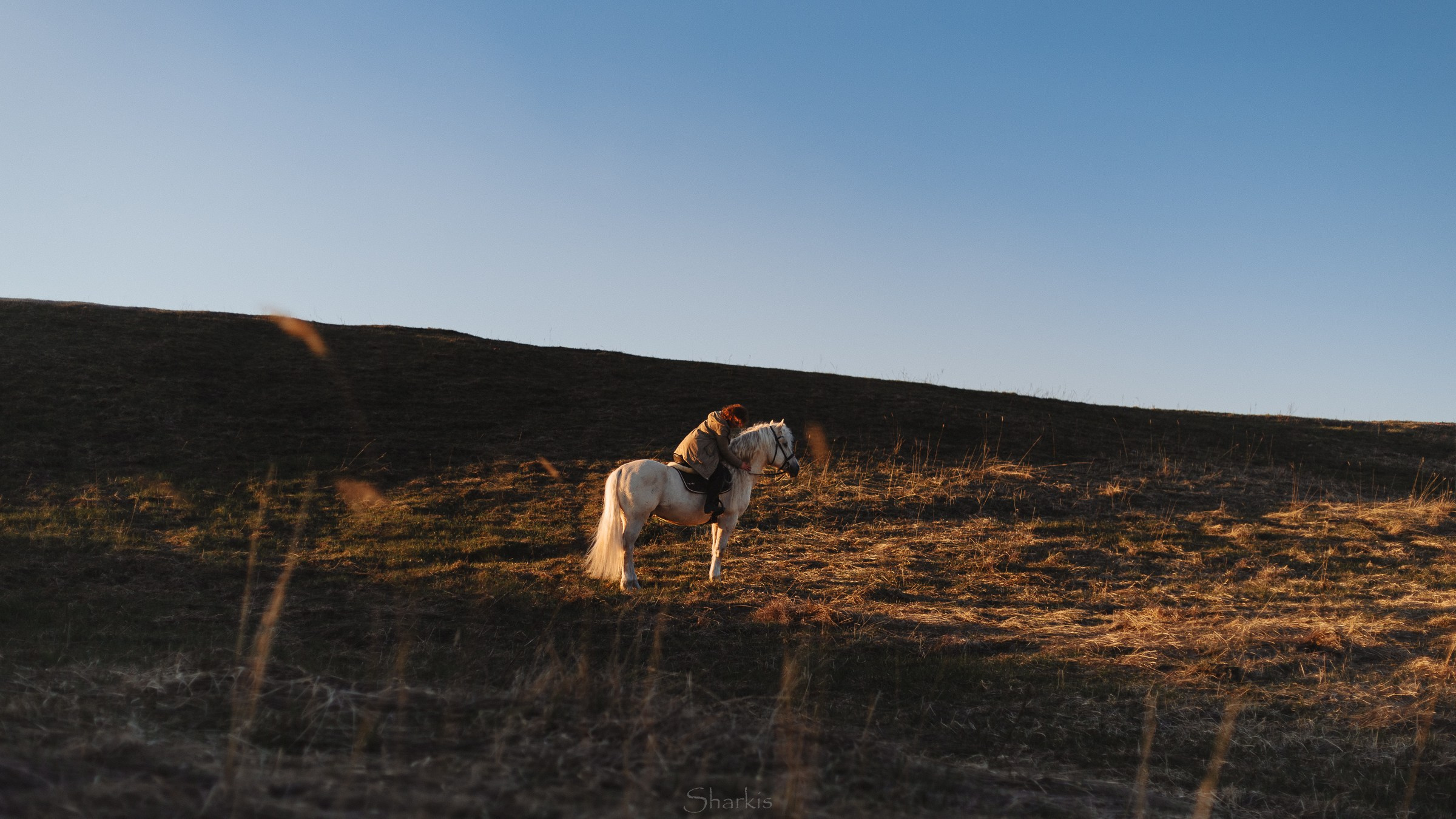 Катя и Гладиолус. Фотограф Елизавета Филатова