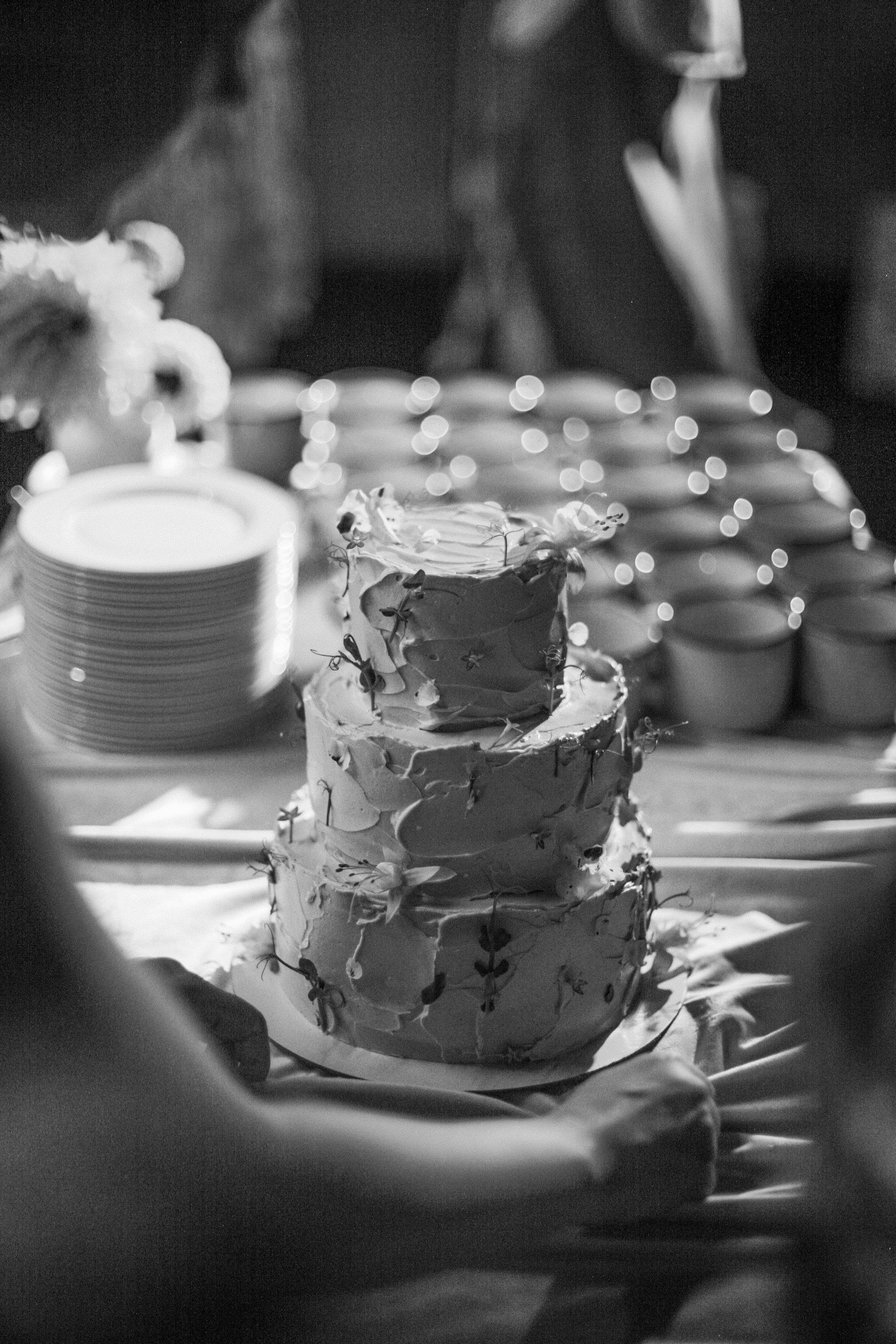 Аня и Кирилл (полный день с росписью). Фотограф Екатерина Максимова: семейные, индивидуальные съемки, свадьбы