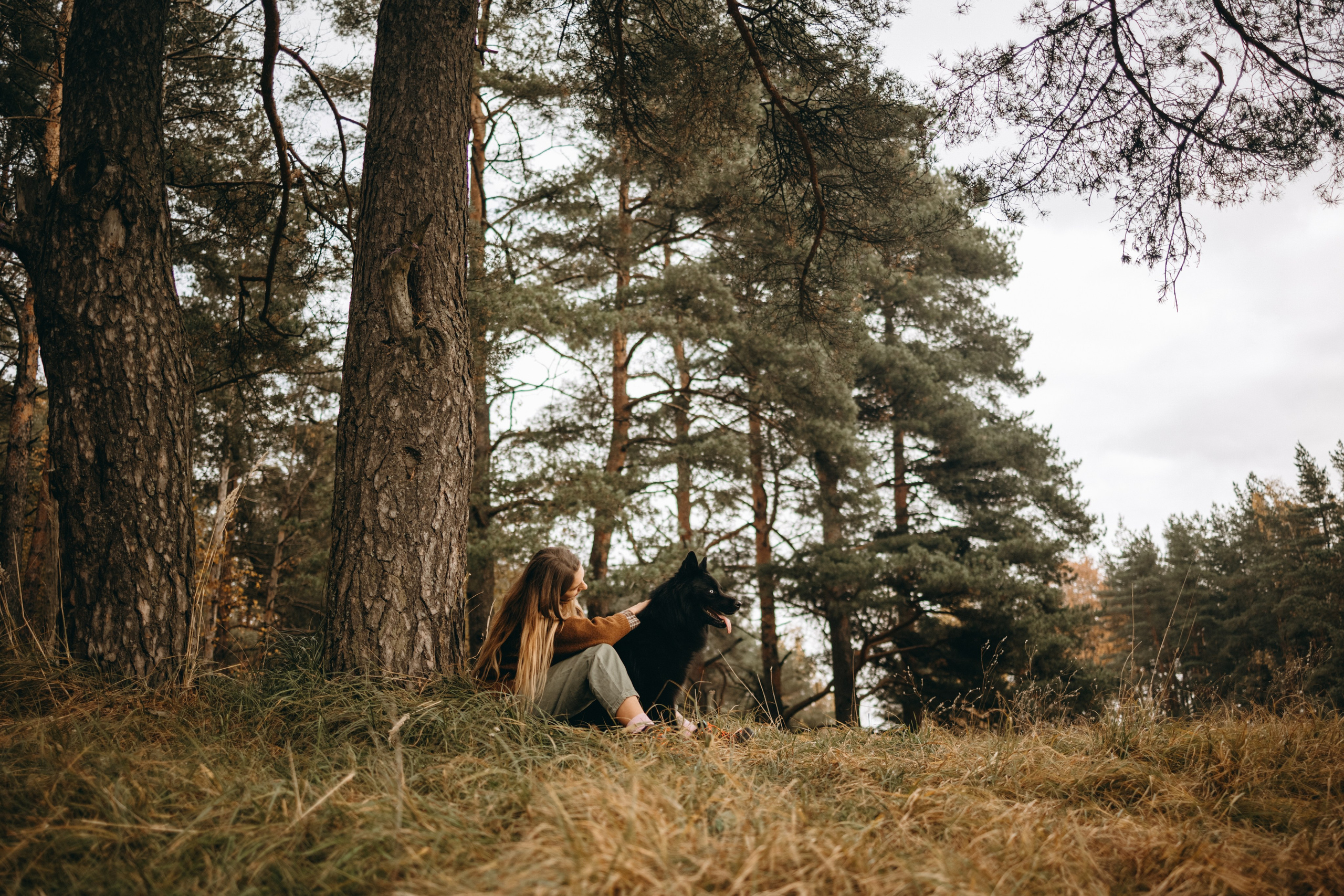 Лора и Джанго. Фотограф — Анималист | Санкт-Петербург