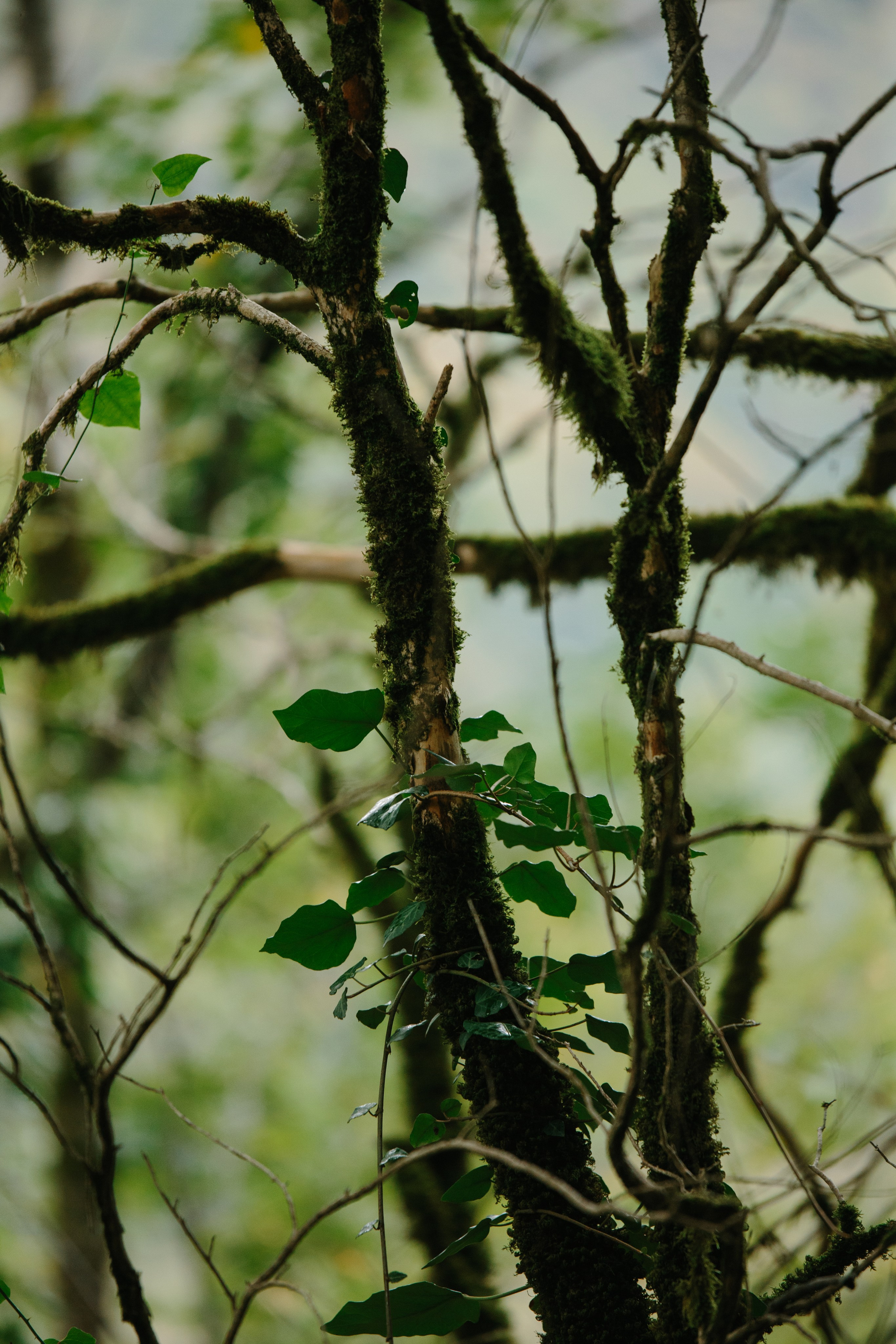 Оштенский Кордон. Семейный фотограф в Белгороде