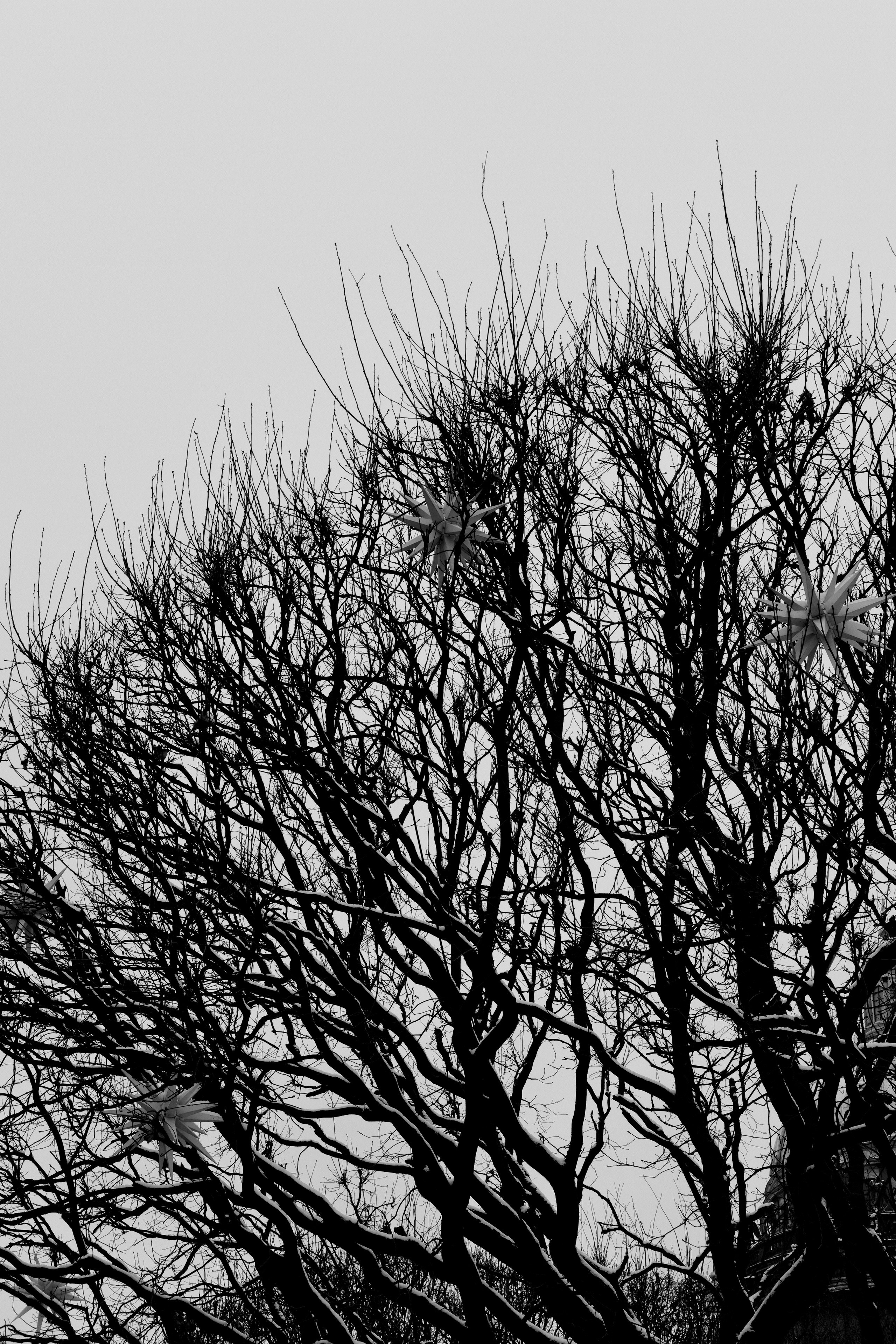 Природа. BELABONKA