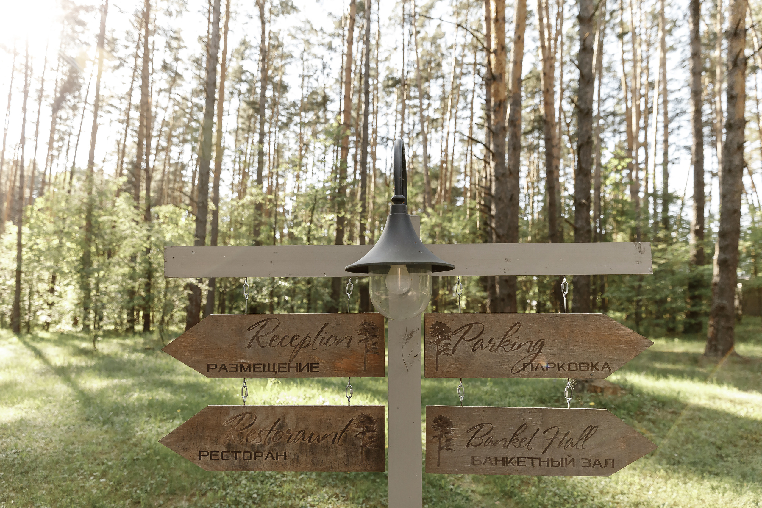 Любовь, солнце и Вино. Свадебный фотограф Колесников Антон