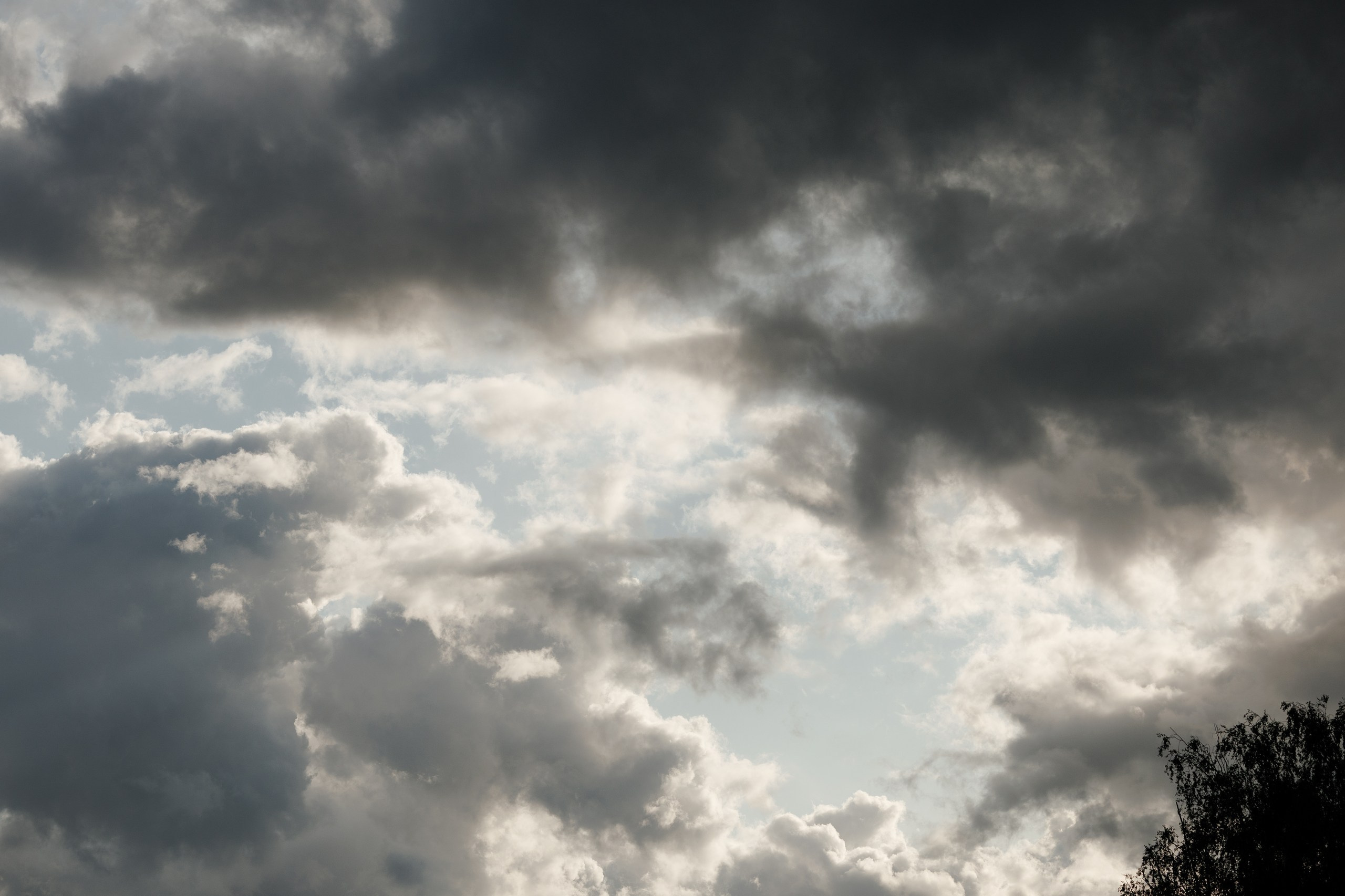 На берегу. Свадебный и семейный фотограф в Твери, Москве, Санкт-Петербурге