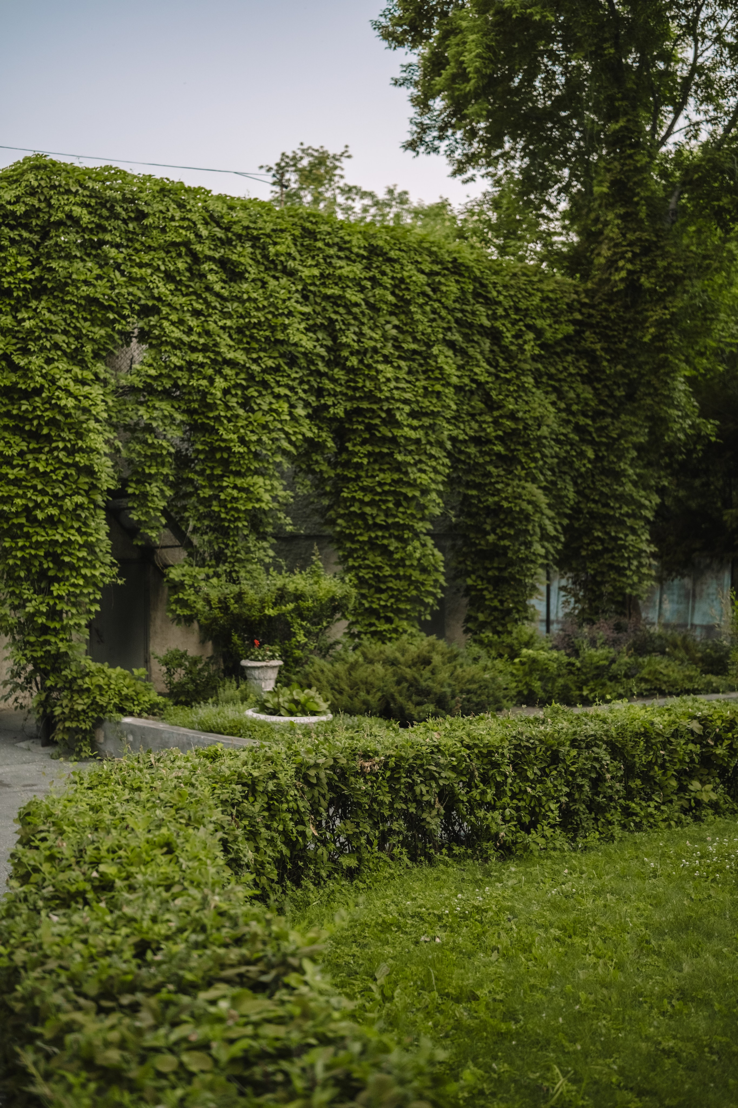 Фотограф Олеся Кавлакан