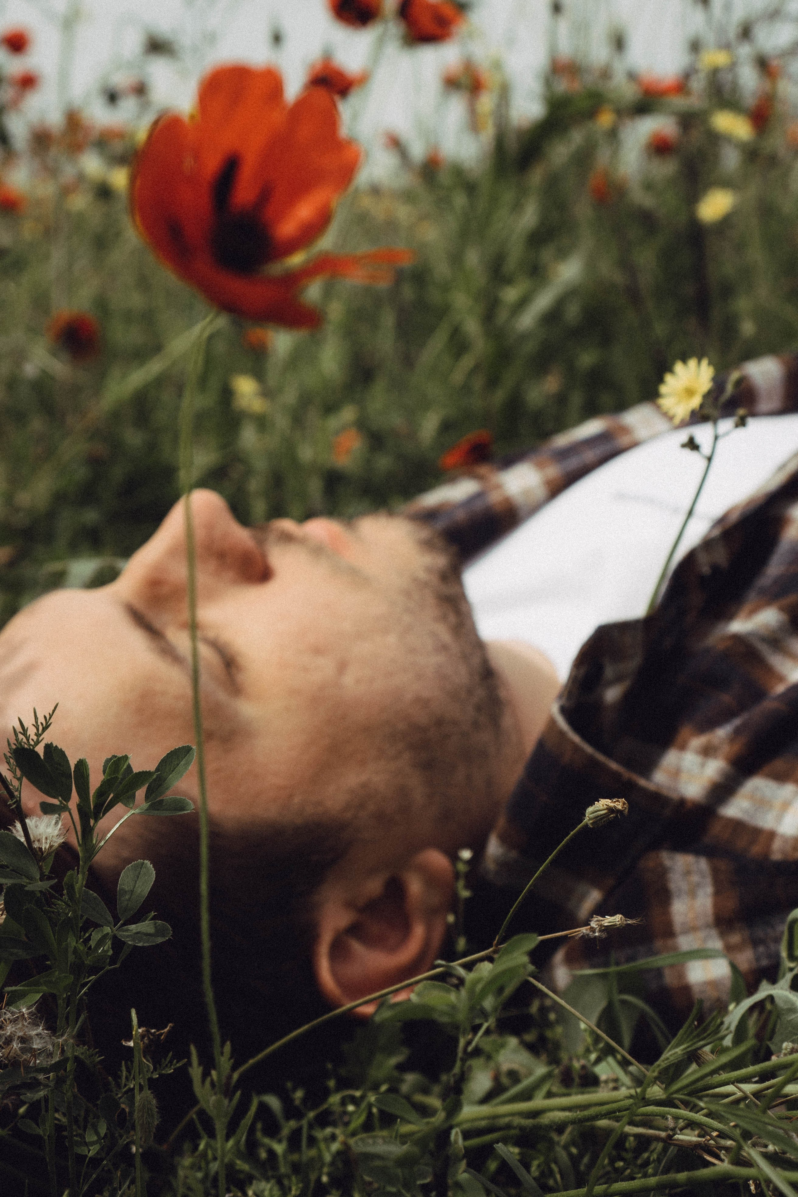 Маки. Профессиональный фотограф, Санкт-Петербург — Виктория Богомолова