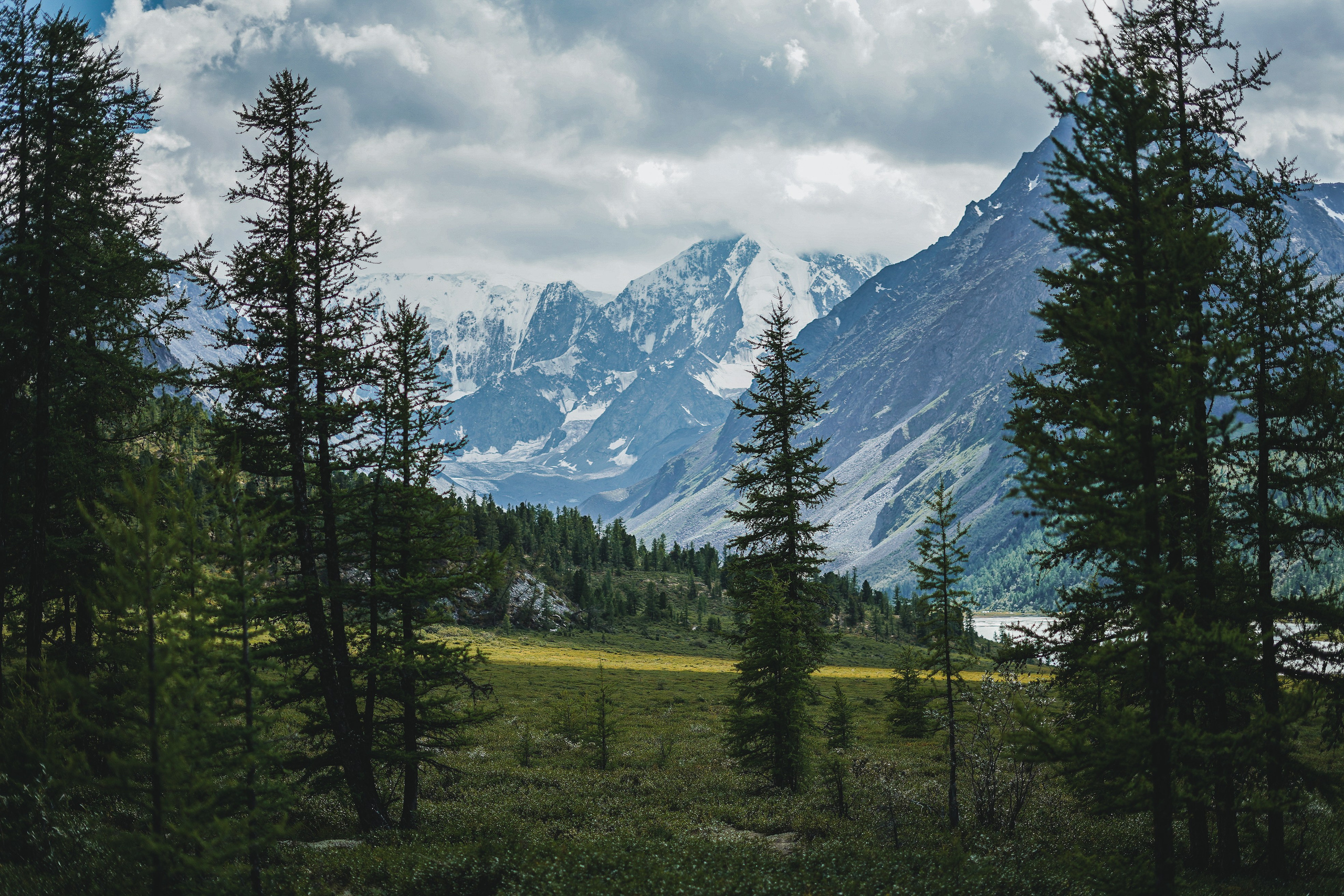 Алтай, поход к Белухе 2023. Фотограф Ольга Пучкова