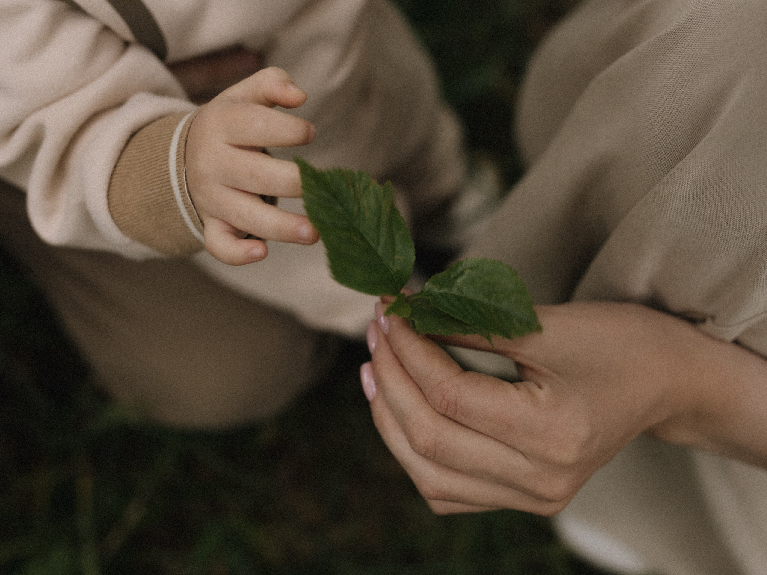 ♡. Фотограф во Владимире, Москве и Суздале-Виктория Чистякова