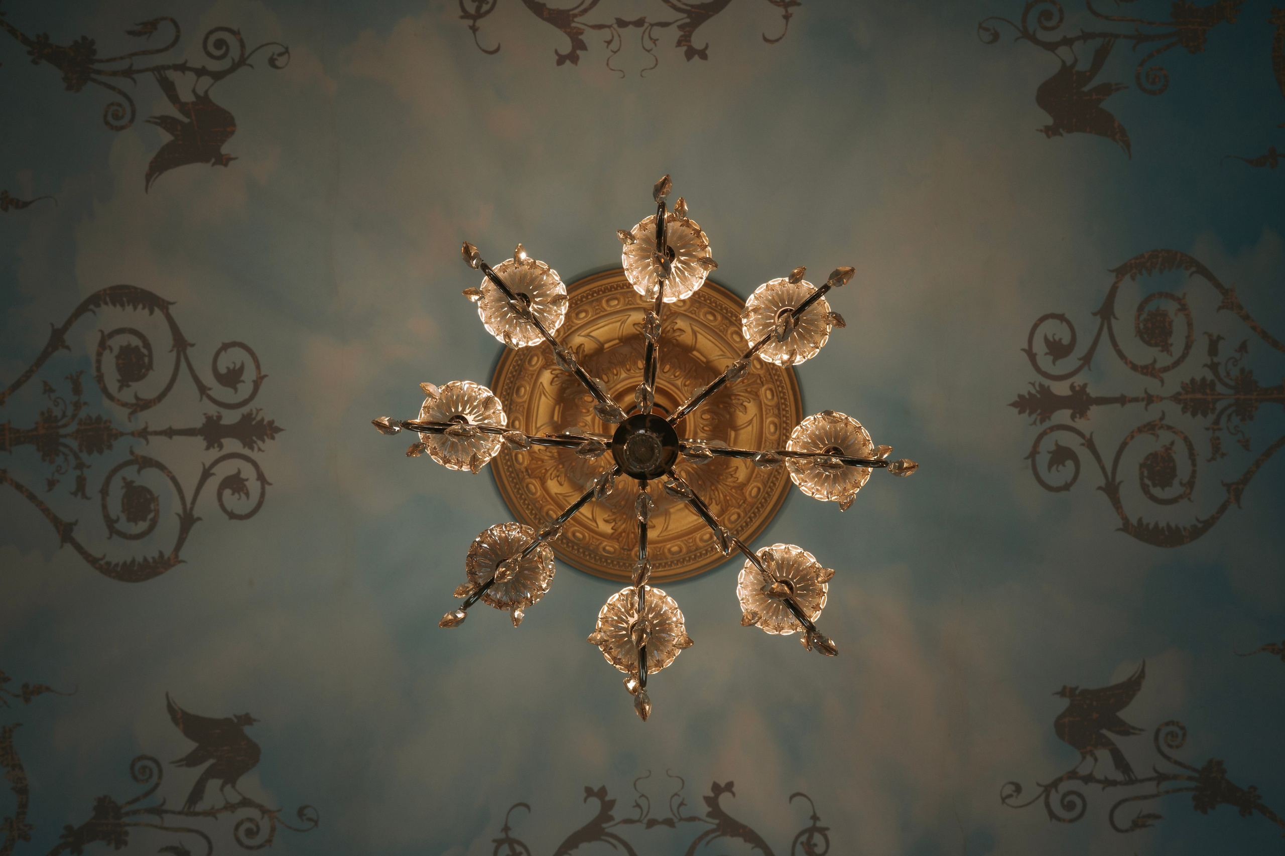 Свадебная съемка. Репортажный фотограф в Калининграде Морозов Кирилл