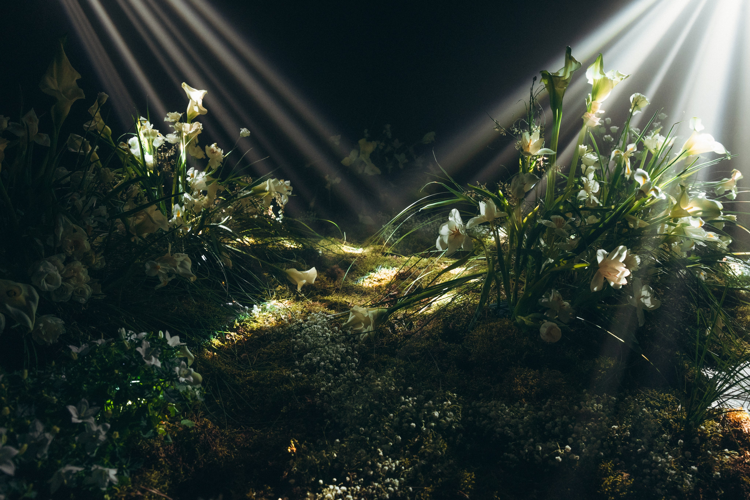 Люби меня люби!. Свадебный фотограф в Минске Тагай Наталья