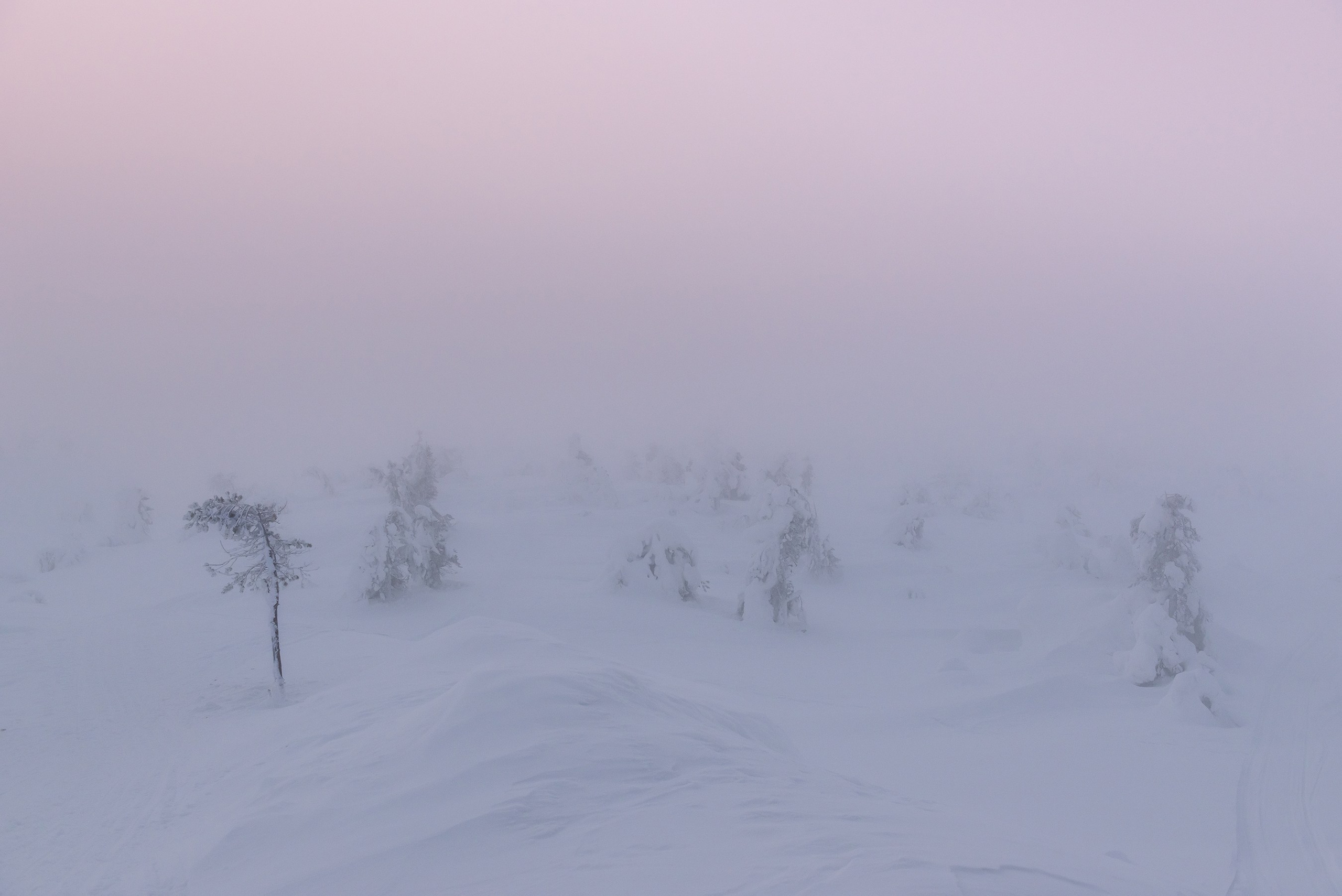 Путешествия. Спортивный фотограф в Ростовской области Анжела Гринченкова