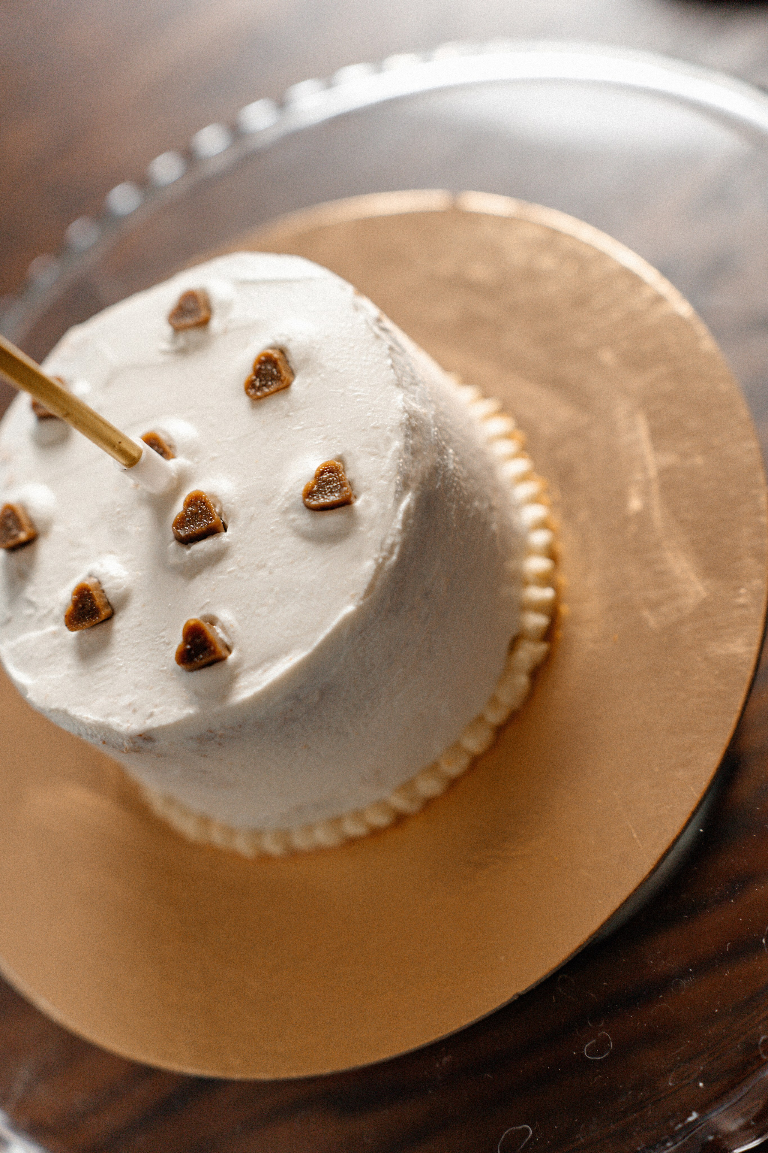 Красота хвостатых глазами хозяйки. Ваш семейный фотограф в Минске — Вика Трегубова