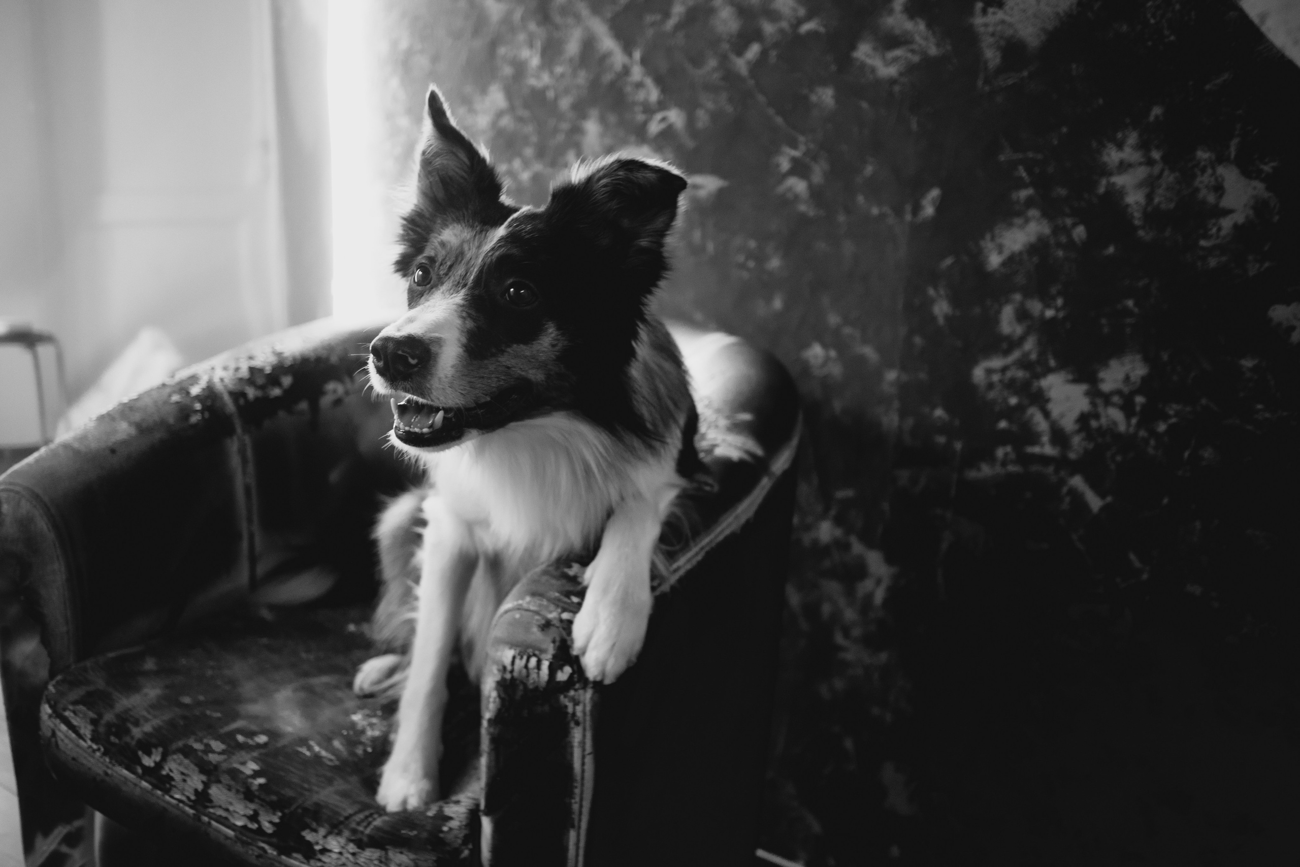 Настя и Тэйс. Фотограф в Тюмени Лизавета Сапицкая