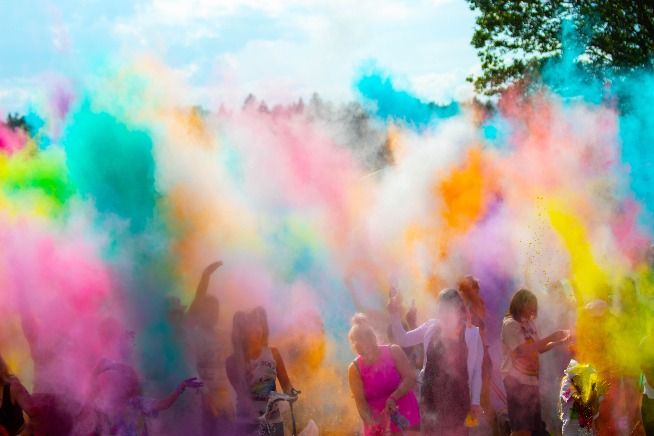 Хвостатый Драйв 2024. Фотограф анималист — Тула, Москва