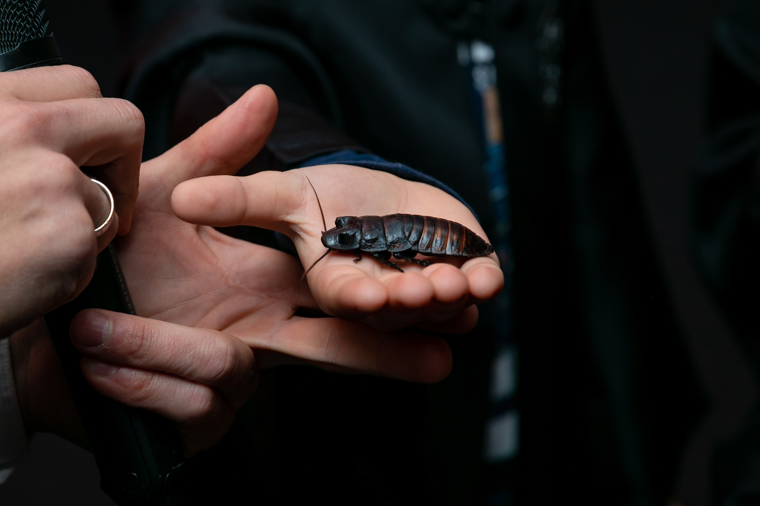 Квесты, квизы…. Фотограф из Сочи Регина Труфанова