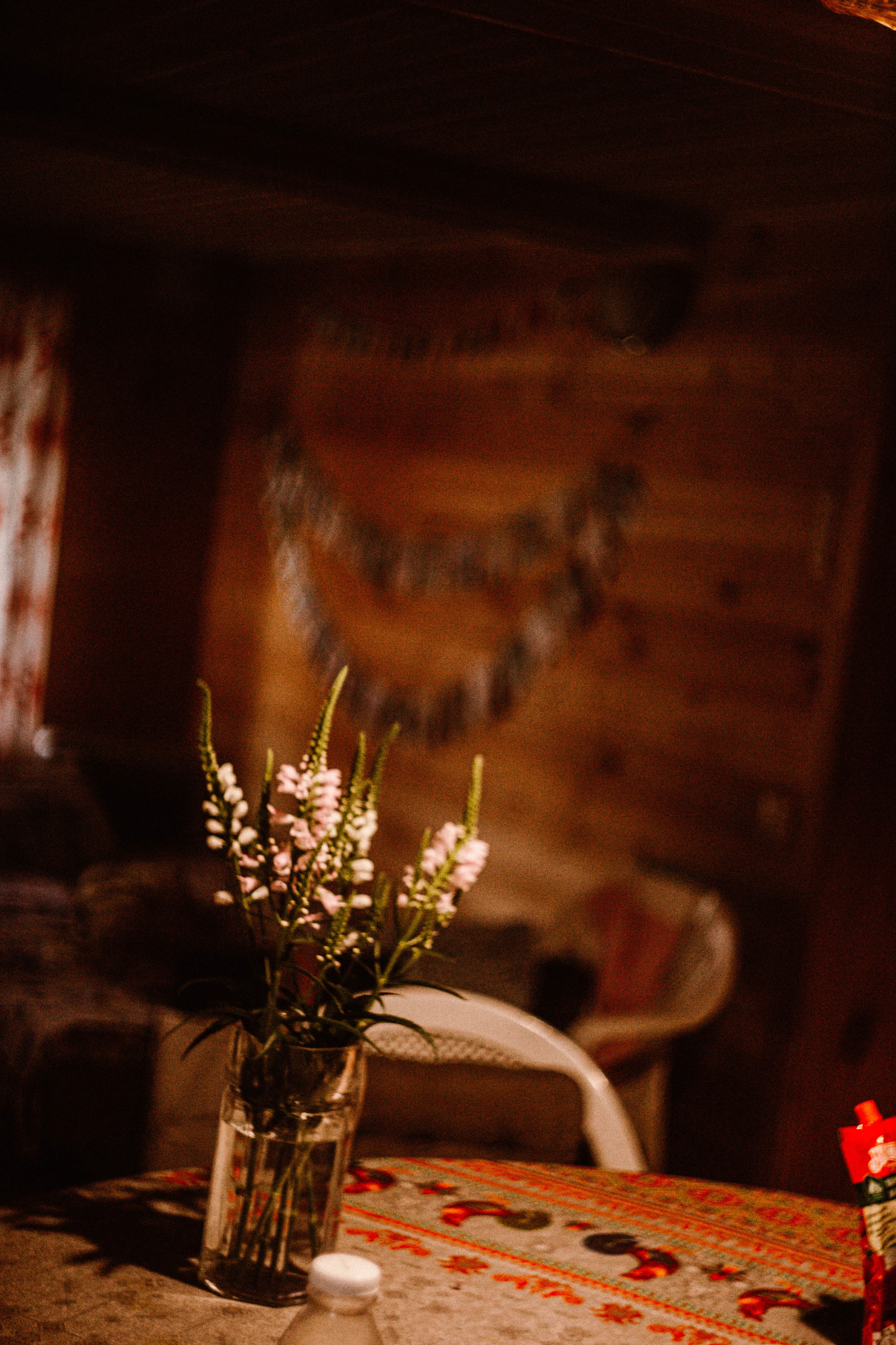 ФотоТуса ГОРЕ-МОРЕ. Фотограф в Нижнем Новгороде