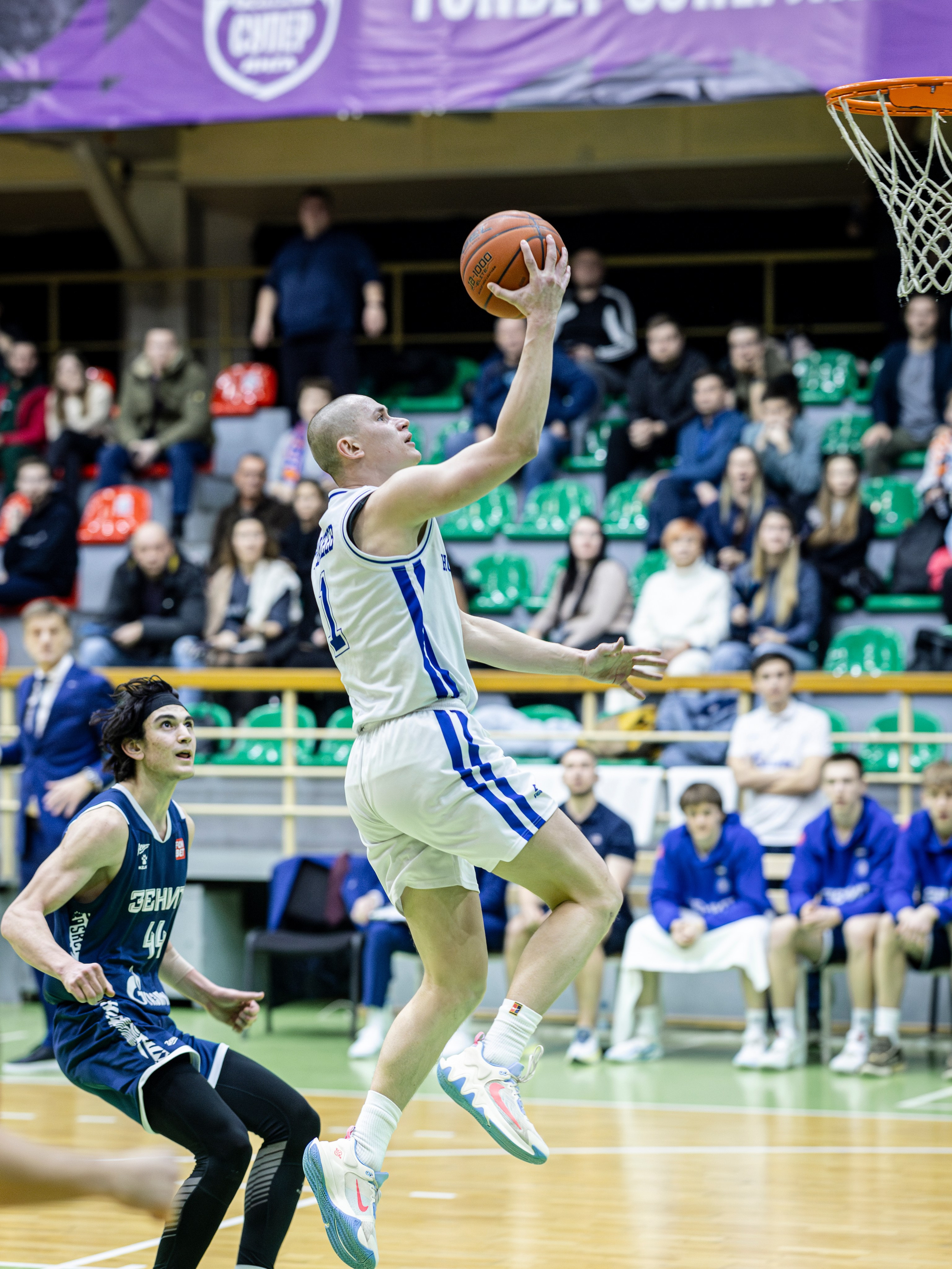 БК Новосибирск. Bertran Ordo