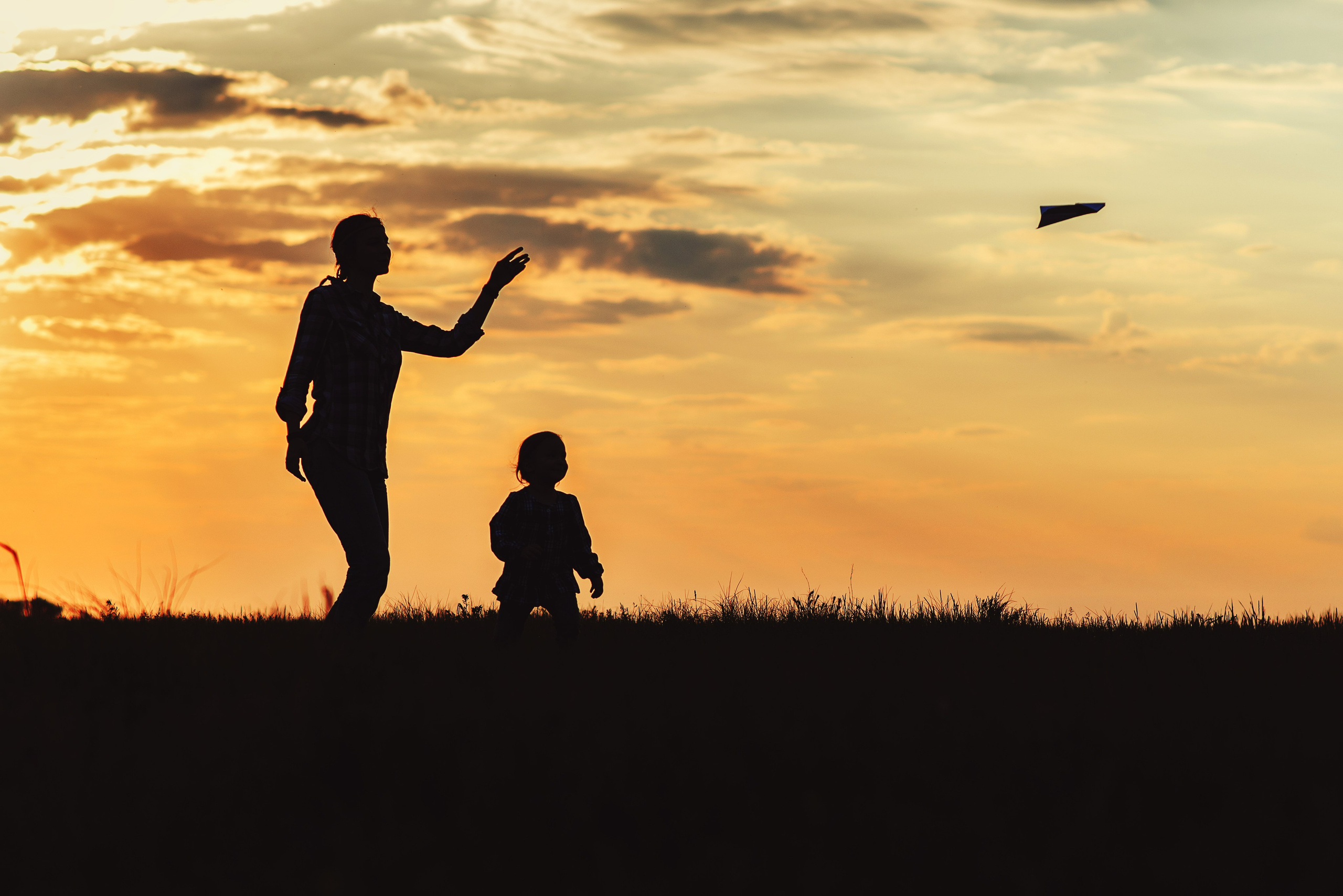 Семейная фотосессия на закате, силуэты на фоне заката