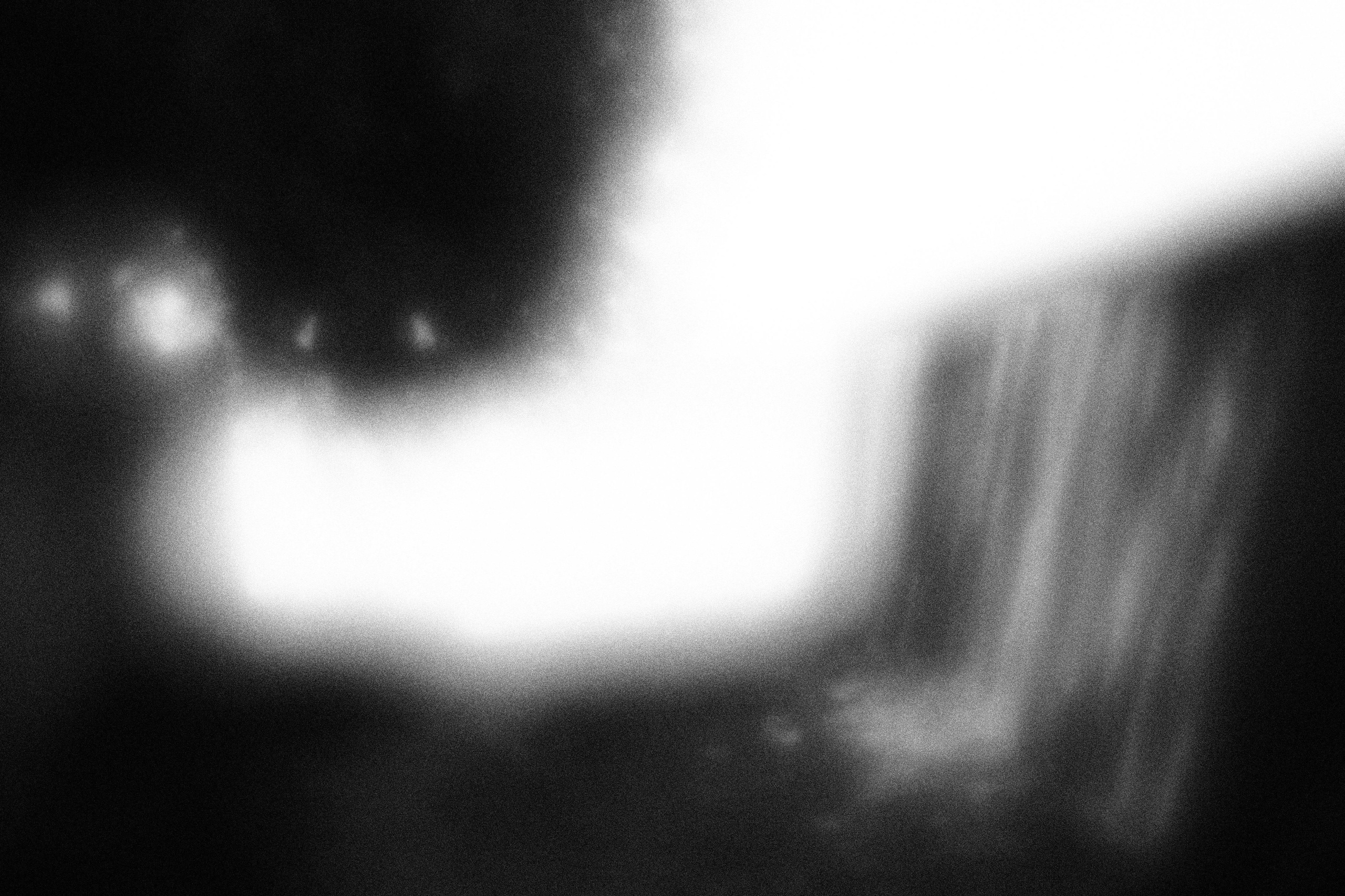 «Видеть. Чувствовать. Сохранять»