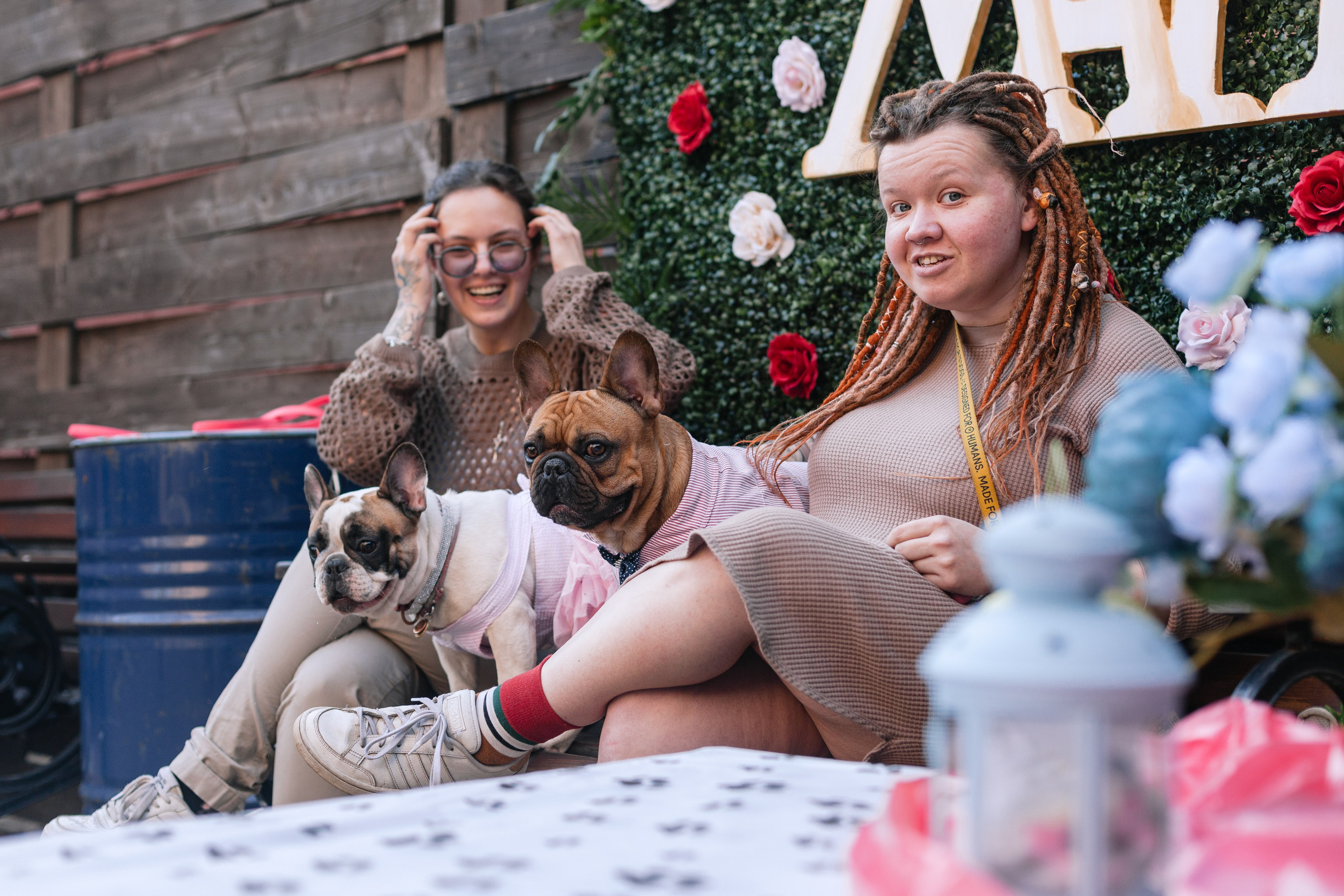 Бульбалл 23.04.2023. Фотограф-анималист Татьяна Степанова