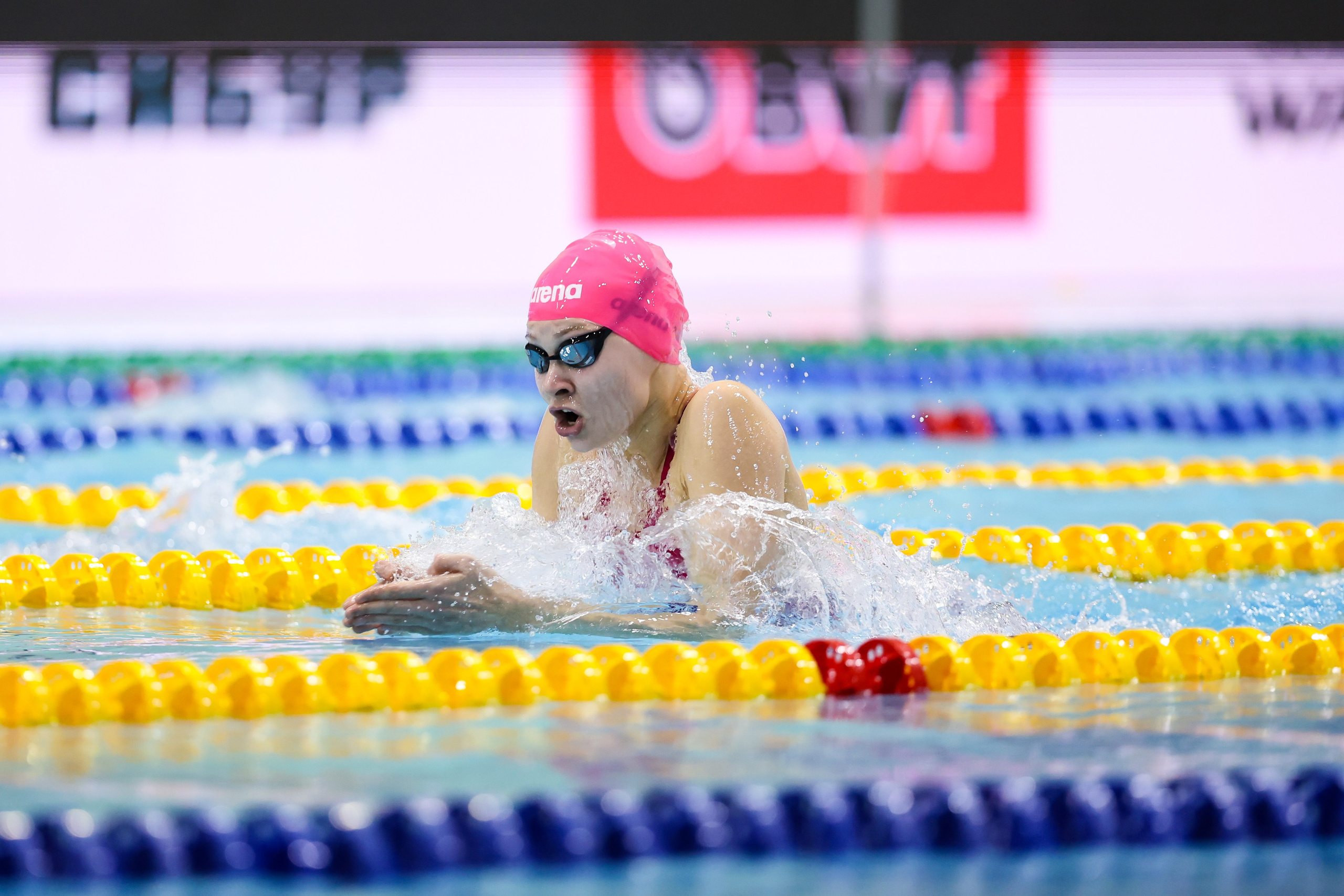 Чемпионат России по плаванию 25 м 21-26.11.2024. Спортивный и репортажный фотограф Антон Тереханов