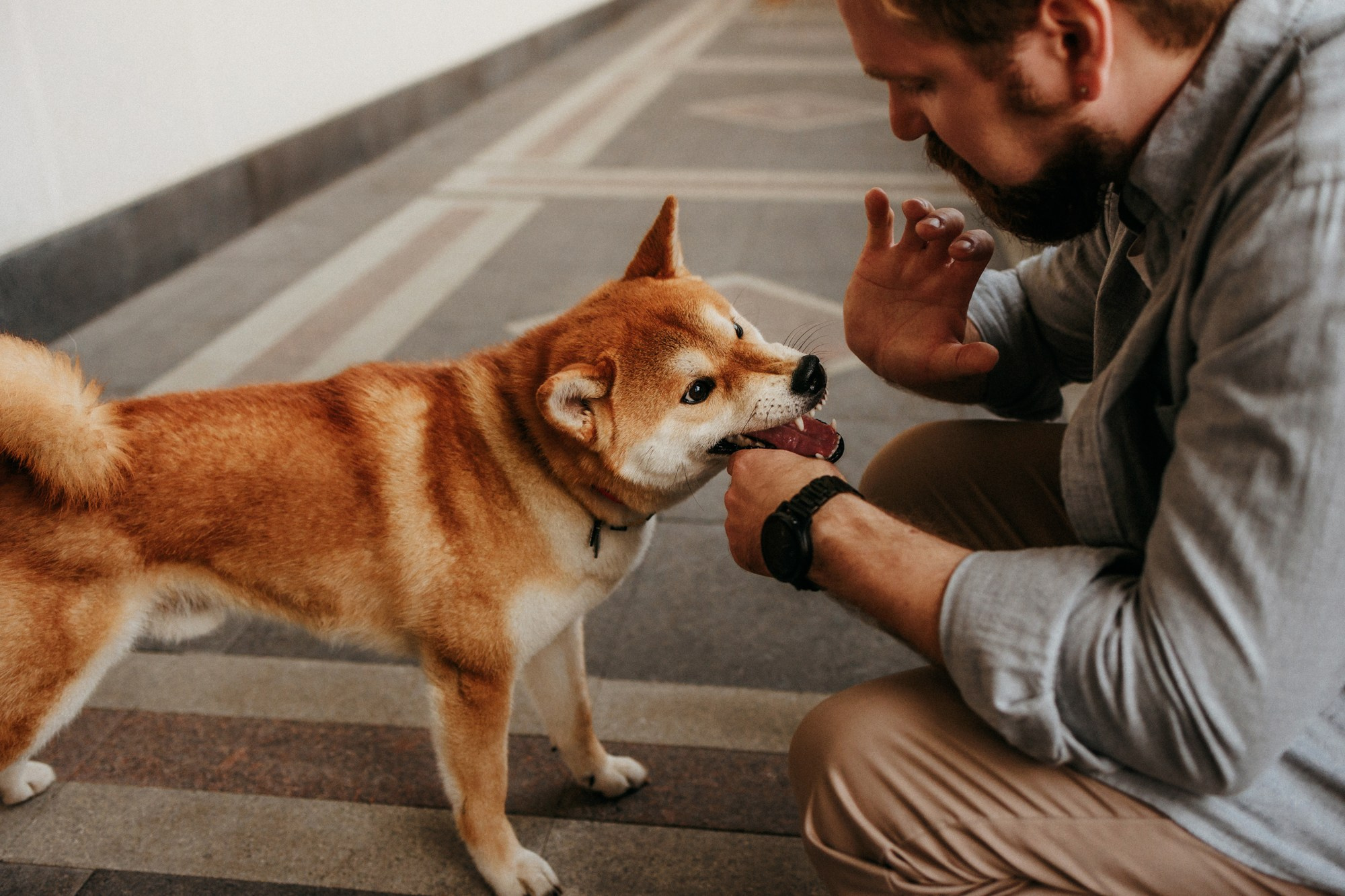 Аня, Влад и Ики. Фотограф-анималист Елена Радченко, Москва