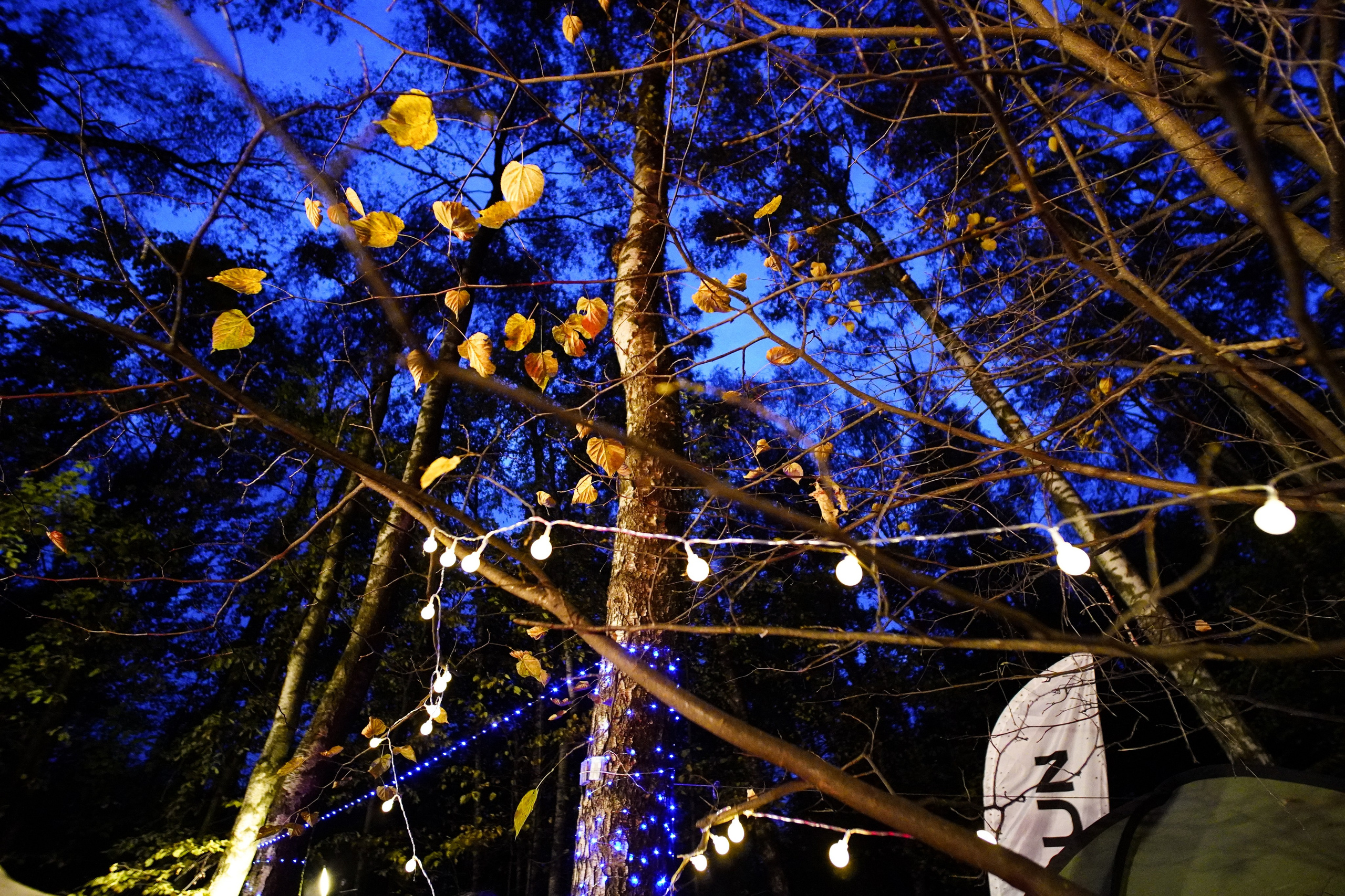 Backyard Ultra Moscow 2024. Роман Капилюшов. Бег. Фото. Видео. г. Люберцы