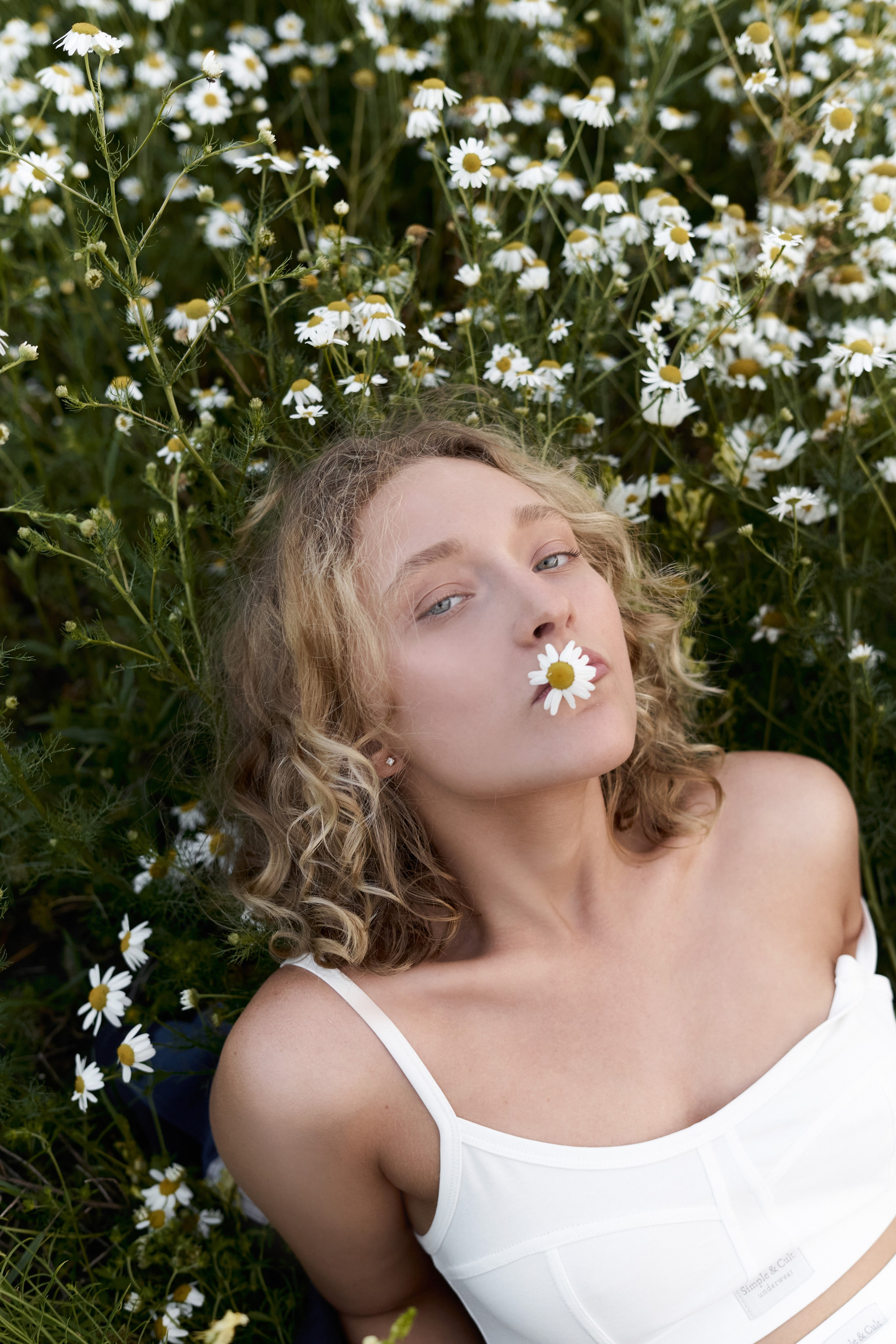 Софа в питомнике. Главная