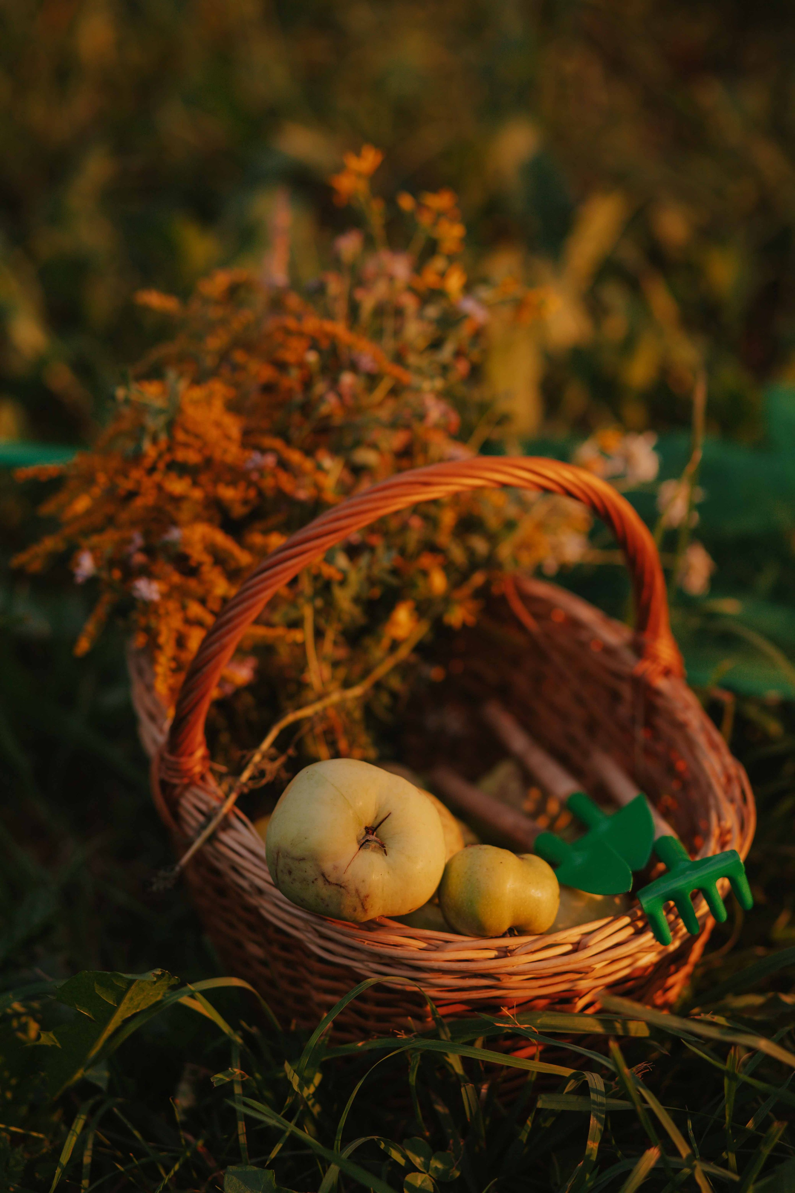 Мари Эн. Художественная винтажная фотография