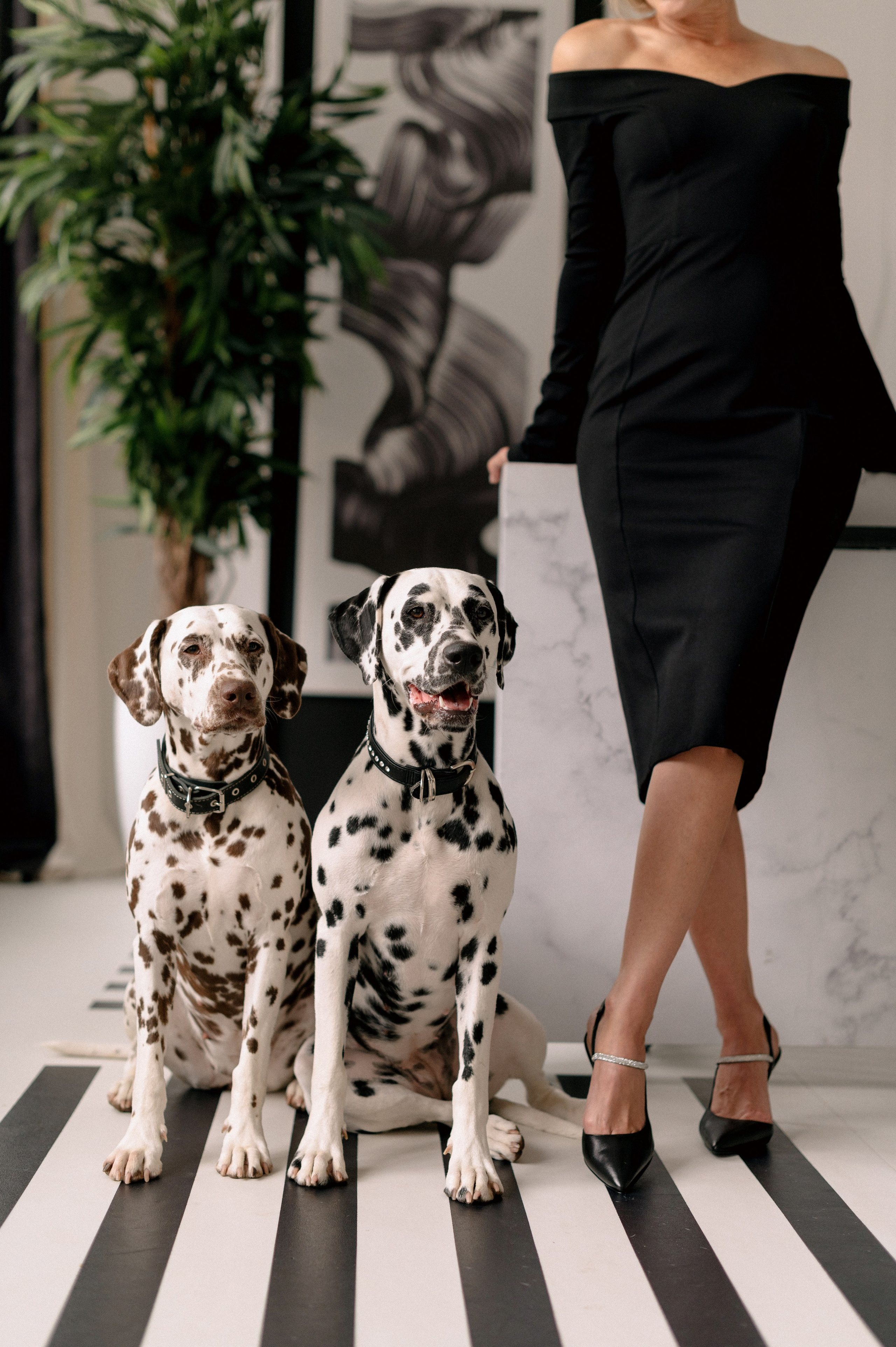 ТАТЬЯНА. Шашкова Вероника / Свадебный и семейный фотограф Москва и Ярославль