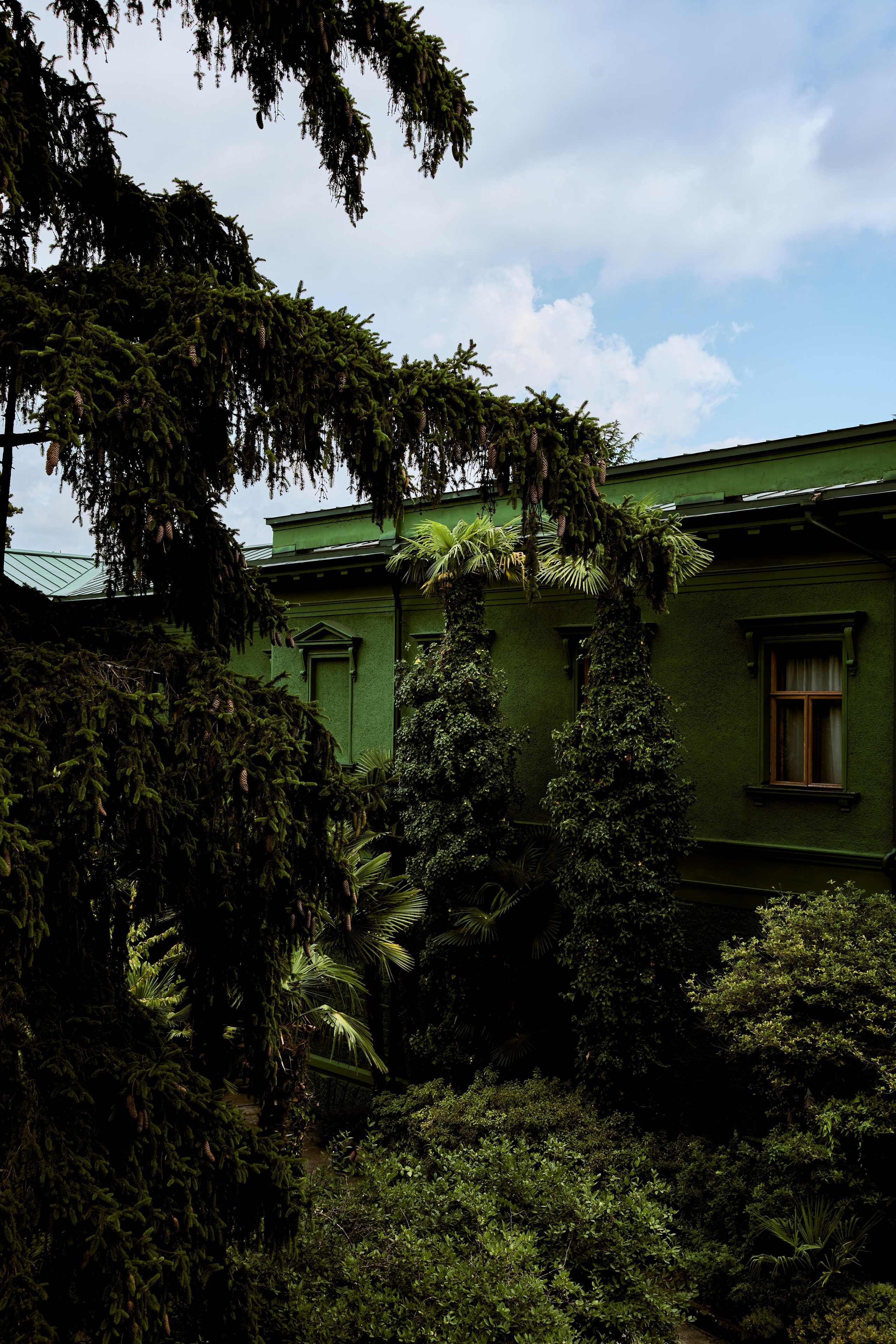 СОЧИ. Студийный фотограф в Екатеринбурге Бшари Заана