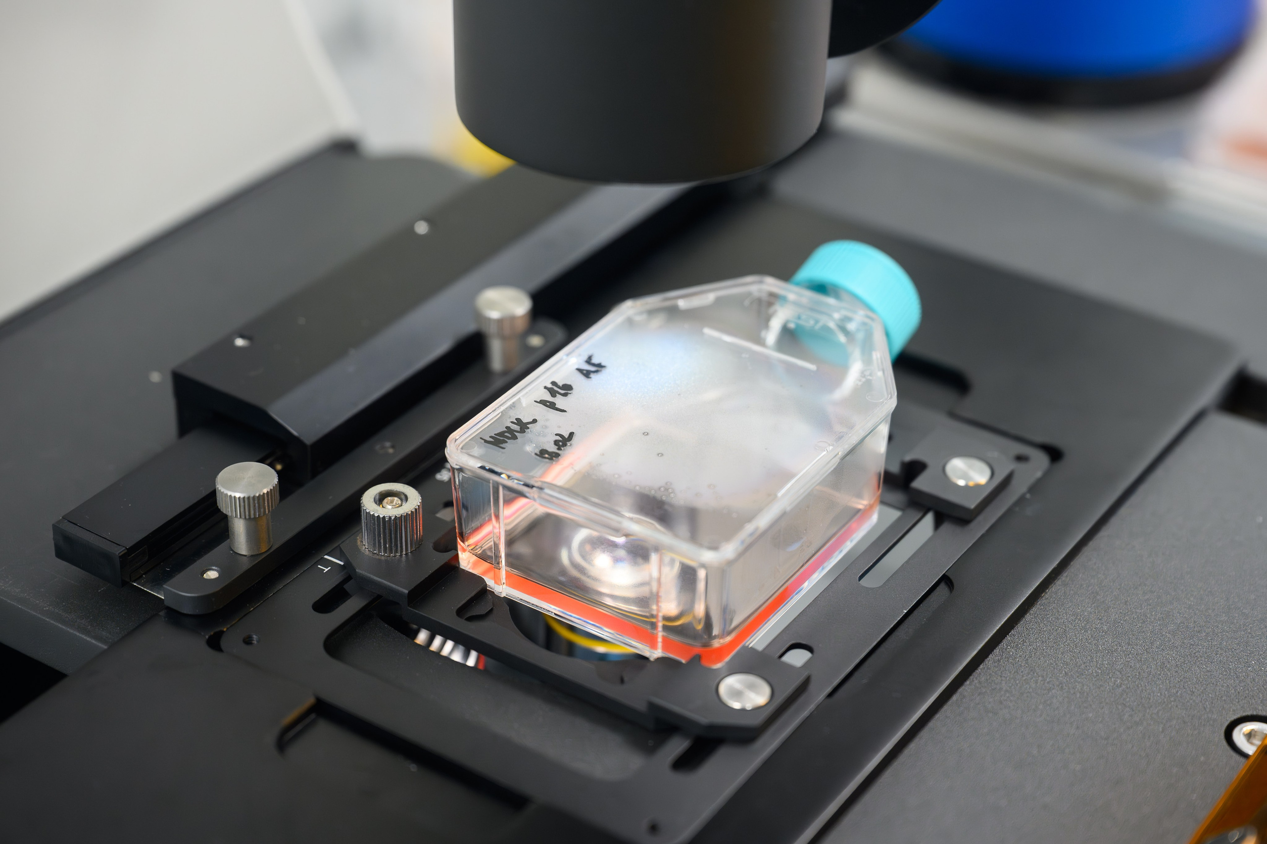 Лаборатории. Арефьева Наталья фотограф в Москве. Студийный фотограф, деловой портрет, репортаж