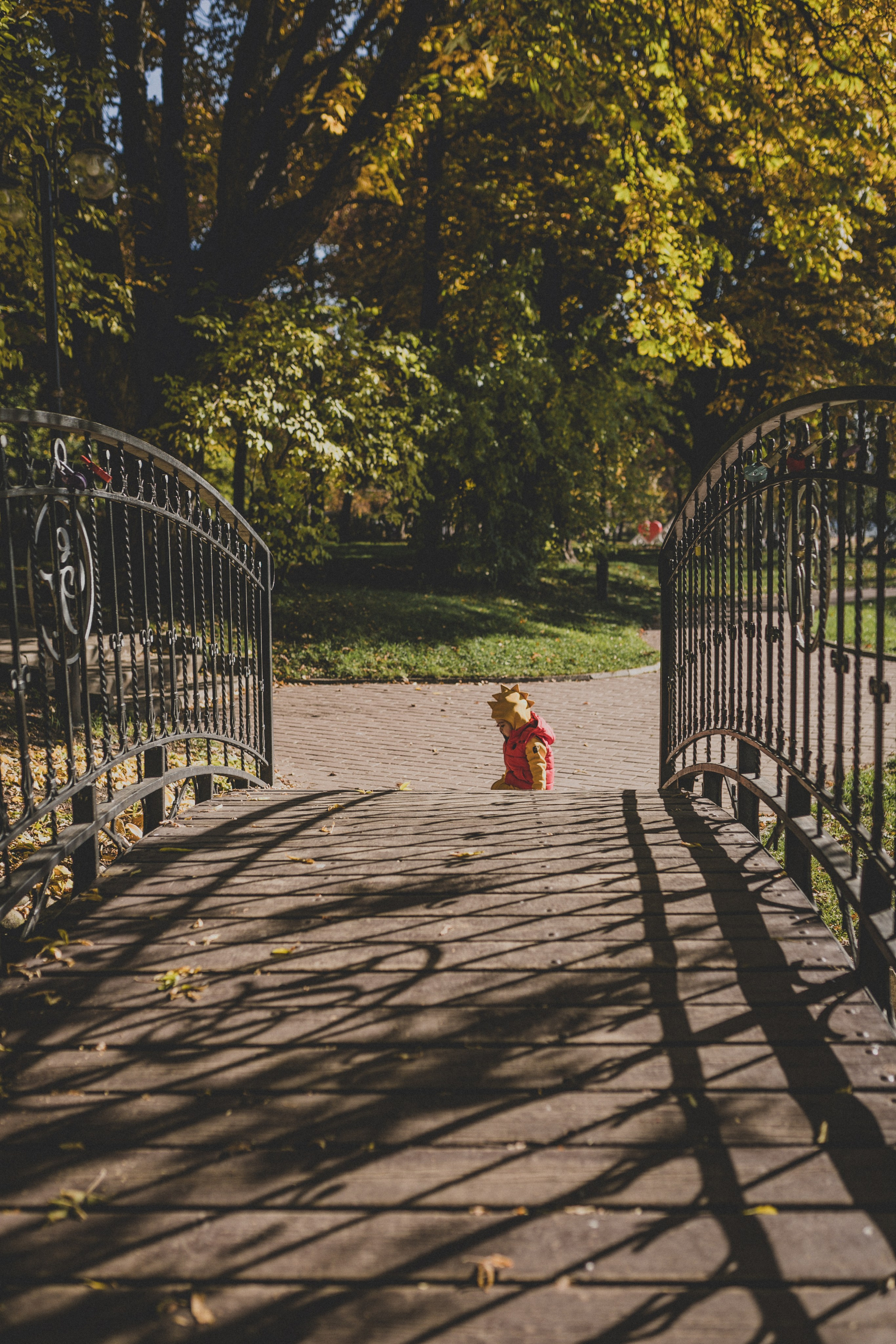 КОГДА ДЕРЕВЬЯ БЫЛИ БОЛЬШИМИ. Фотограф Лебедева Наталья