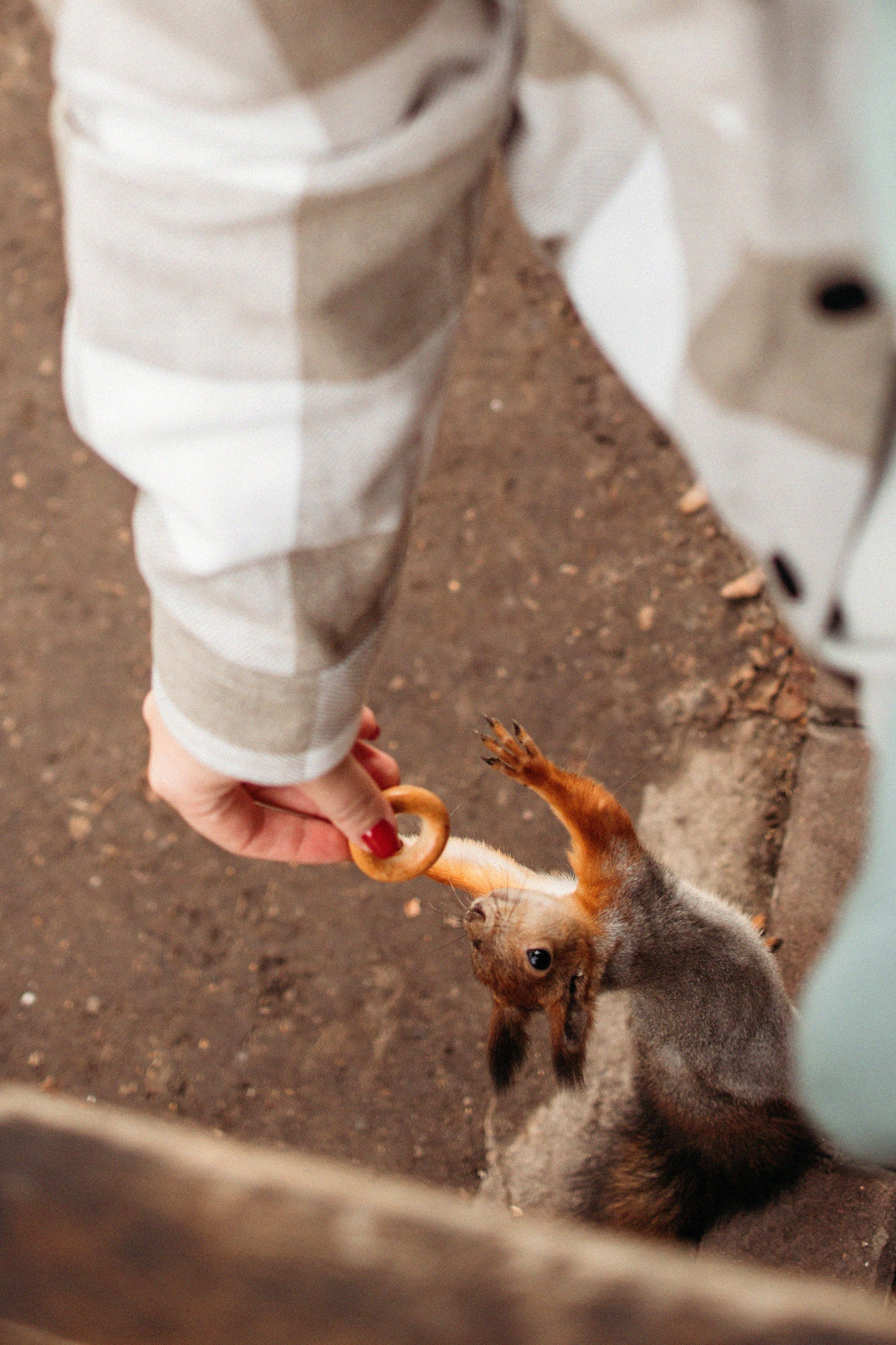 Таня и Полина. Семейный фотограф и видеограф Попова Юлия