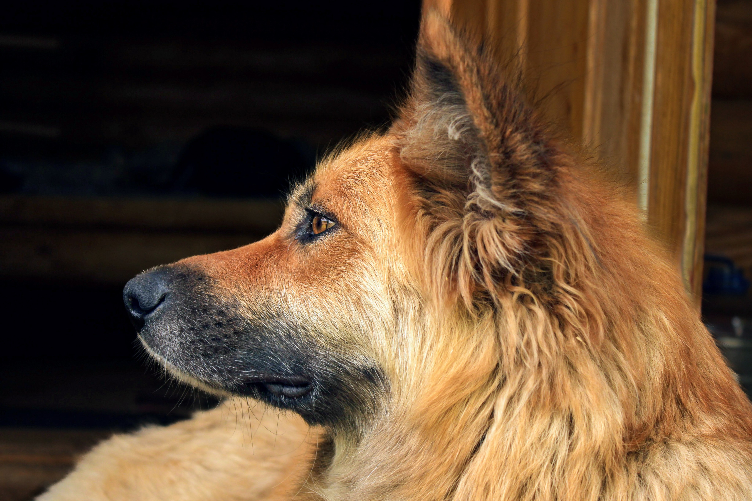 Street. Life in Focus