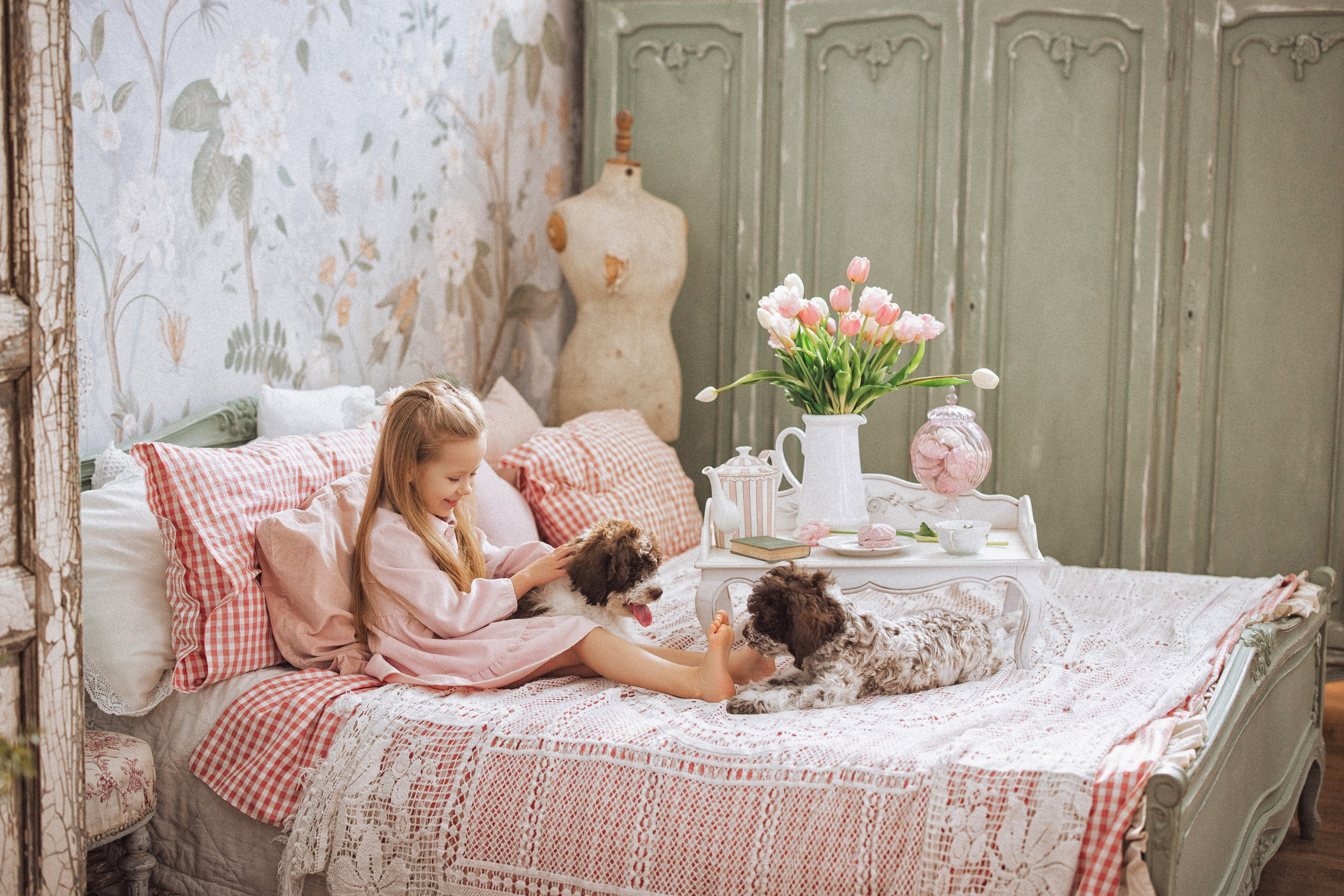 Фотосессия с щенками Лаго́тто-романьо́ло, в Винтажной фотостудии город Краснодар. Семейный и детский фотограф в Краснодаре Анна Трашкова