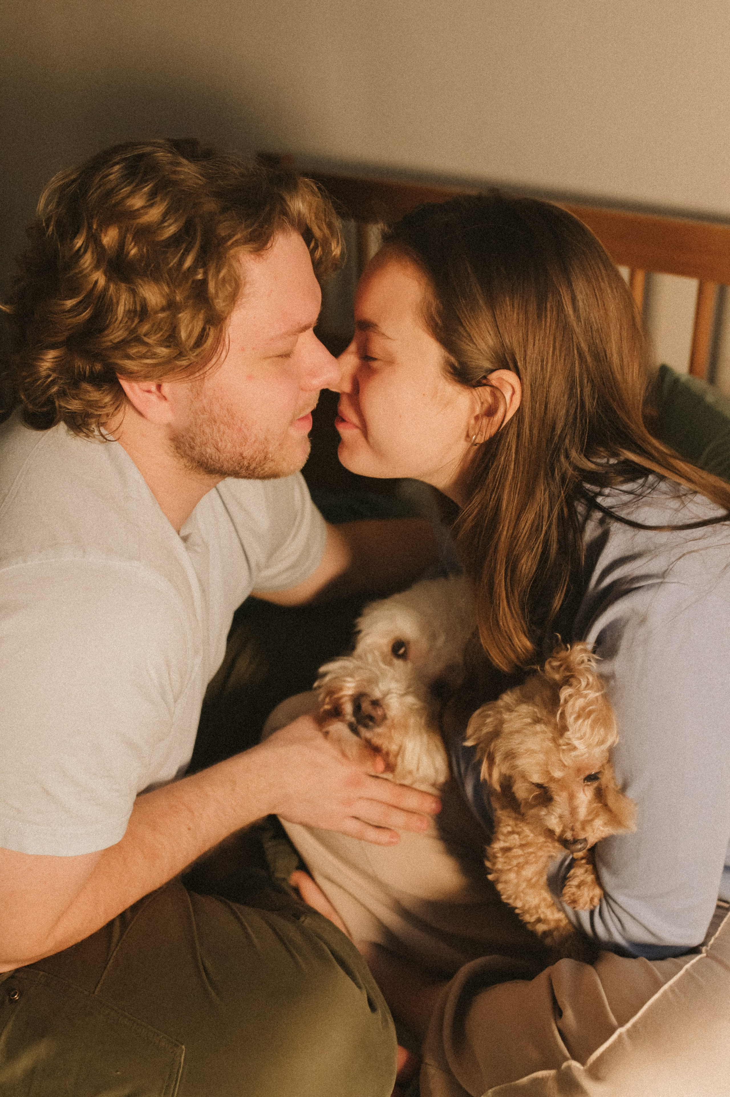 Ання и её кудрявая команда. Фотограф анималист в Москве Ольга Агушева