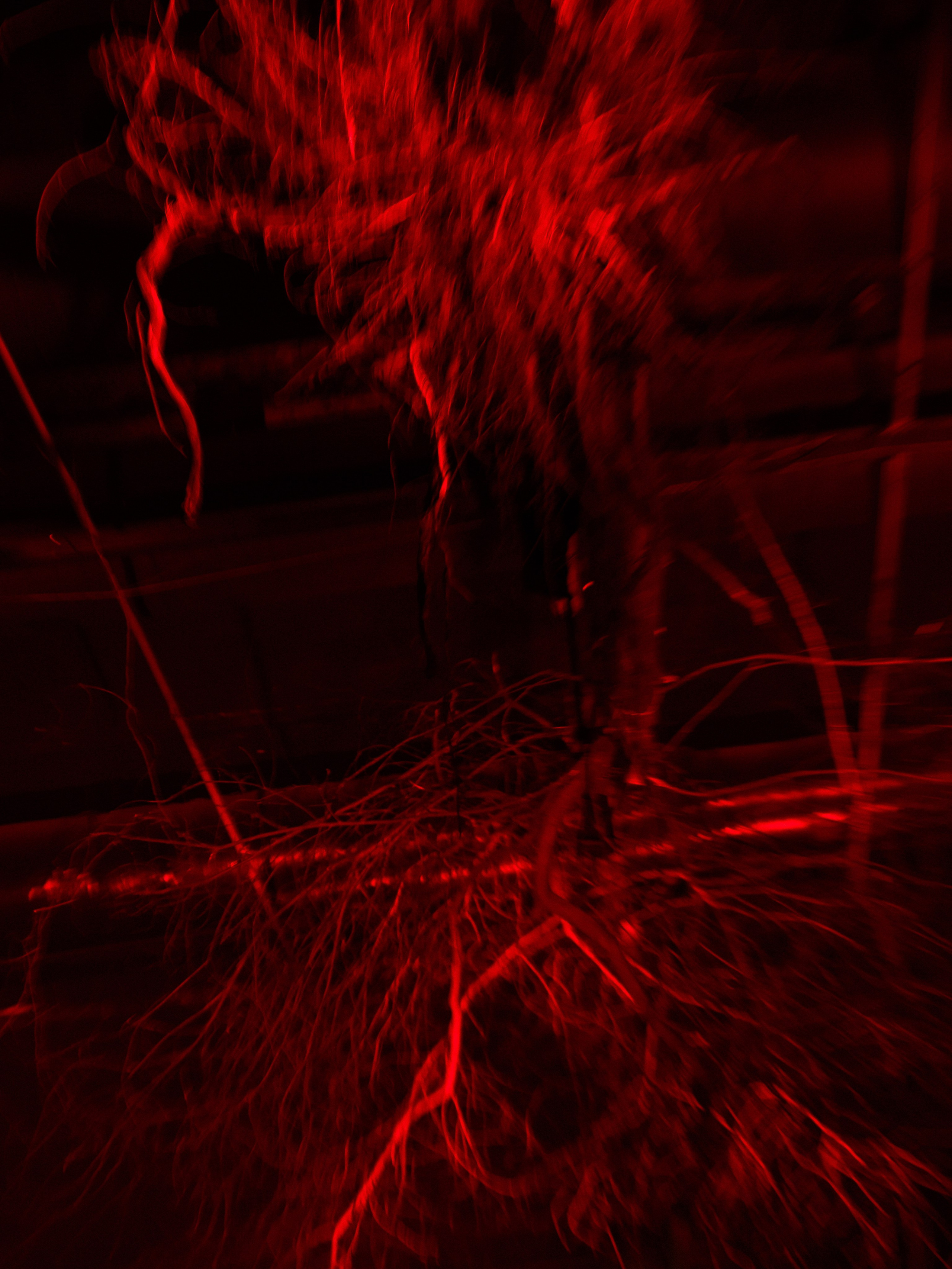 Wedding Awards NW 2025. NesterovaMaria.ru