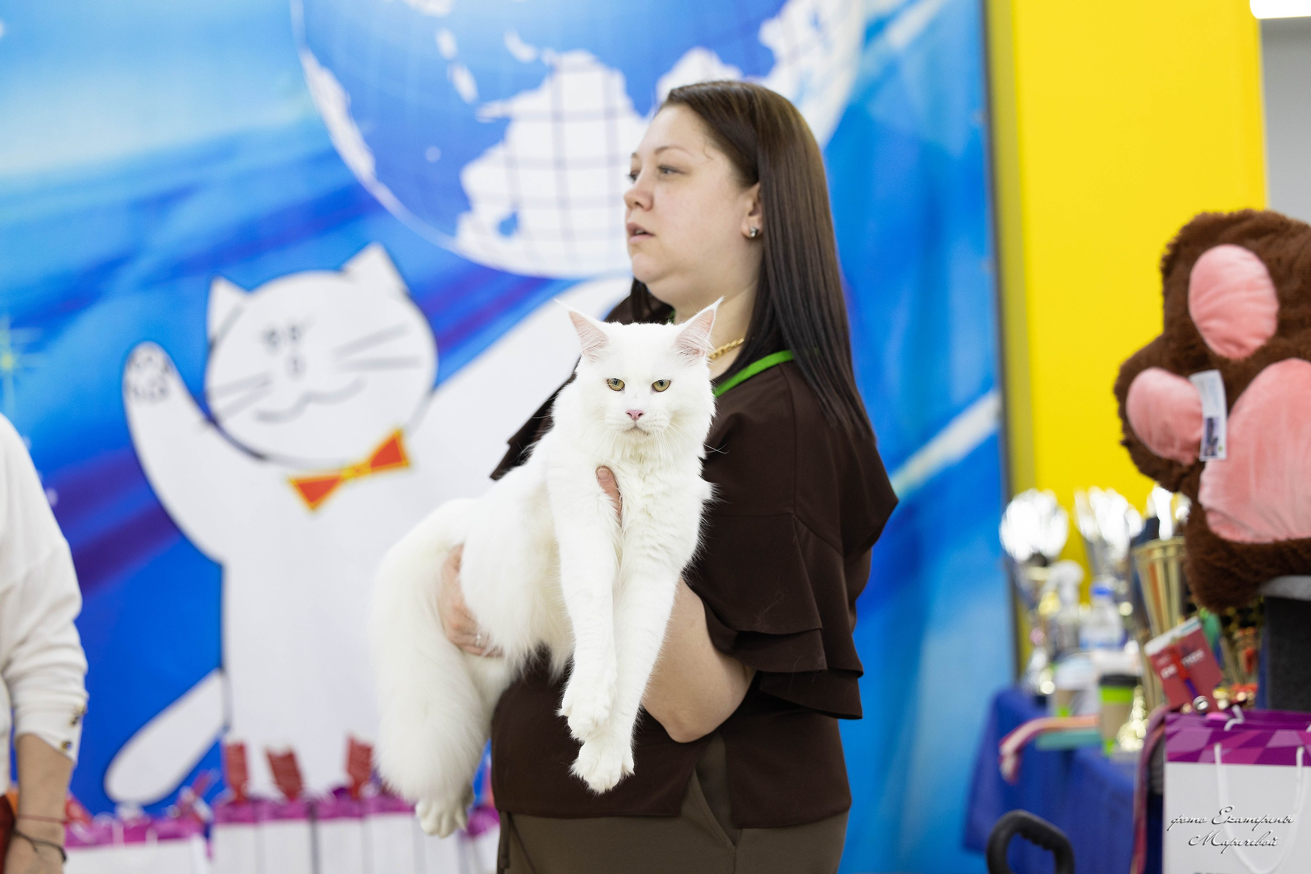 11–12 апреля — Интершоу — «Звездная Галактика Доброго Кота». Работаю со стендом. Фотограф-анималист в Омске Екатерина Маричева