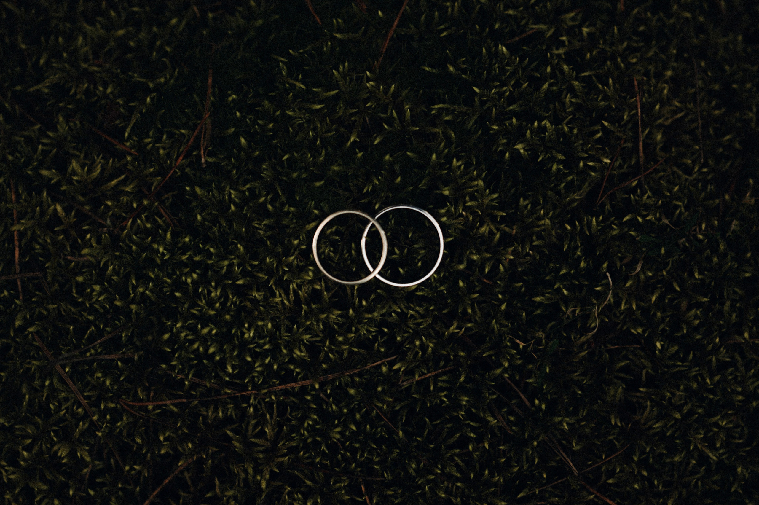 Эльфийские мотивы. Семейный и свадебный фотограф в Самаре