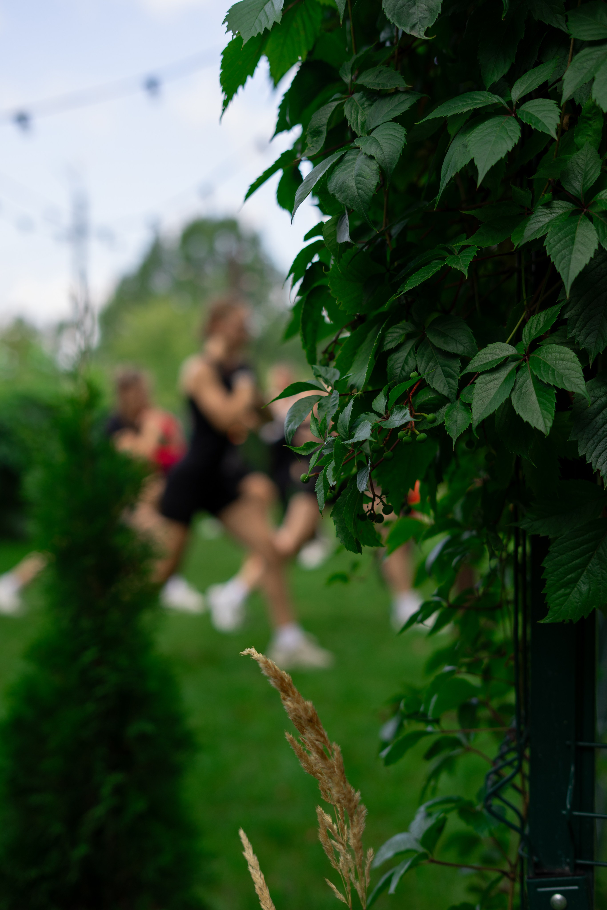 Volga Run 16/08. Фотограф г. Тольятти