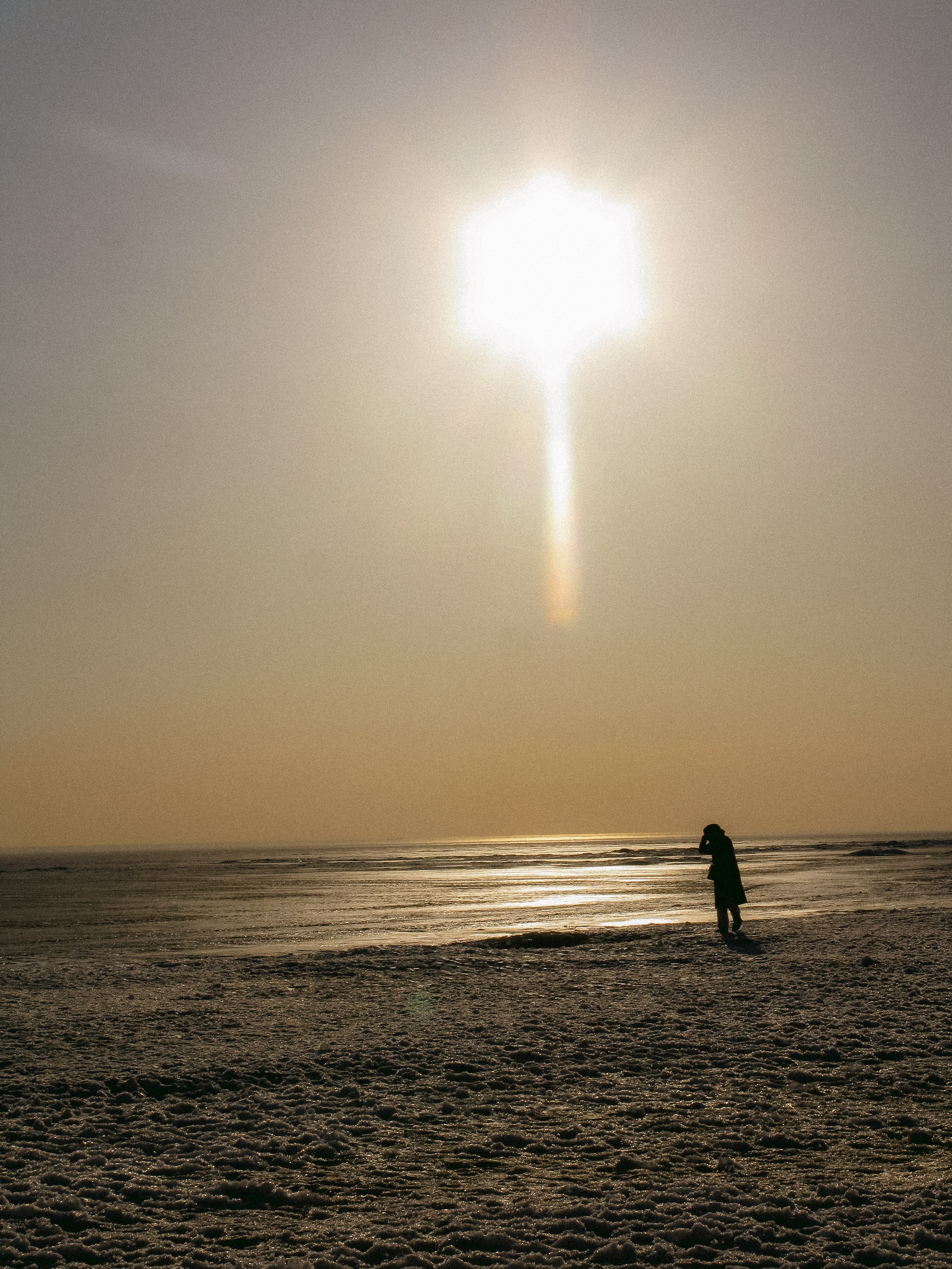 Mar. Фотограф Миланазавр