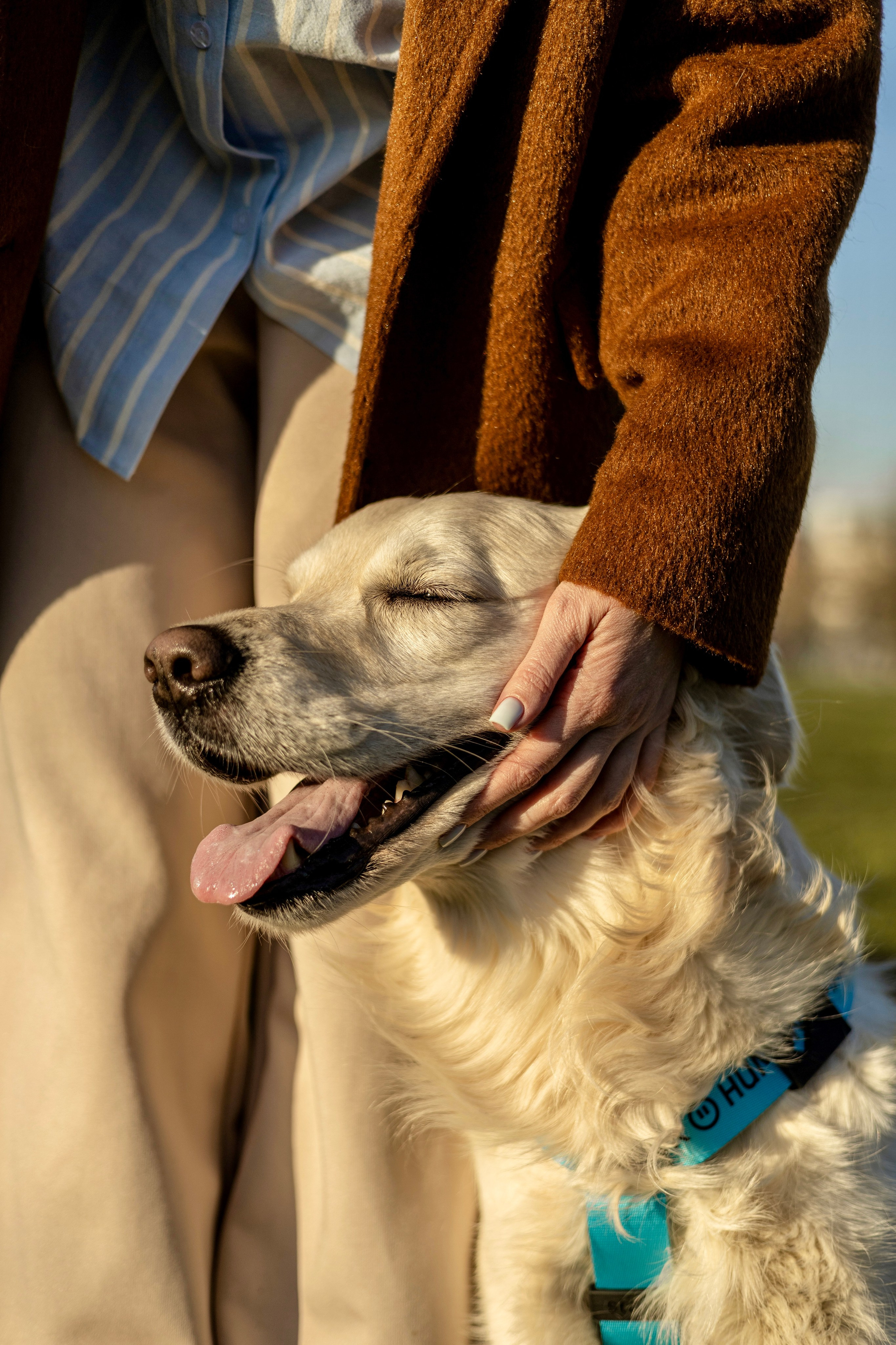 Зиз и Юля. Часть 2. Фотограф-анималист Ксения Шевцова|Москва