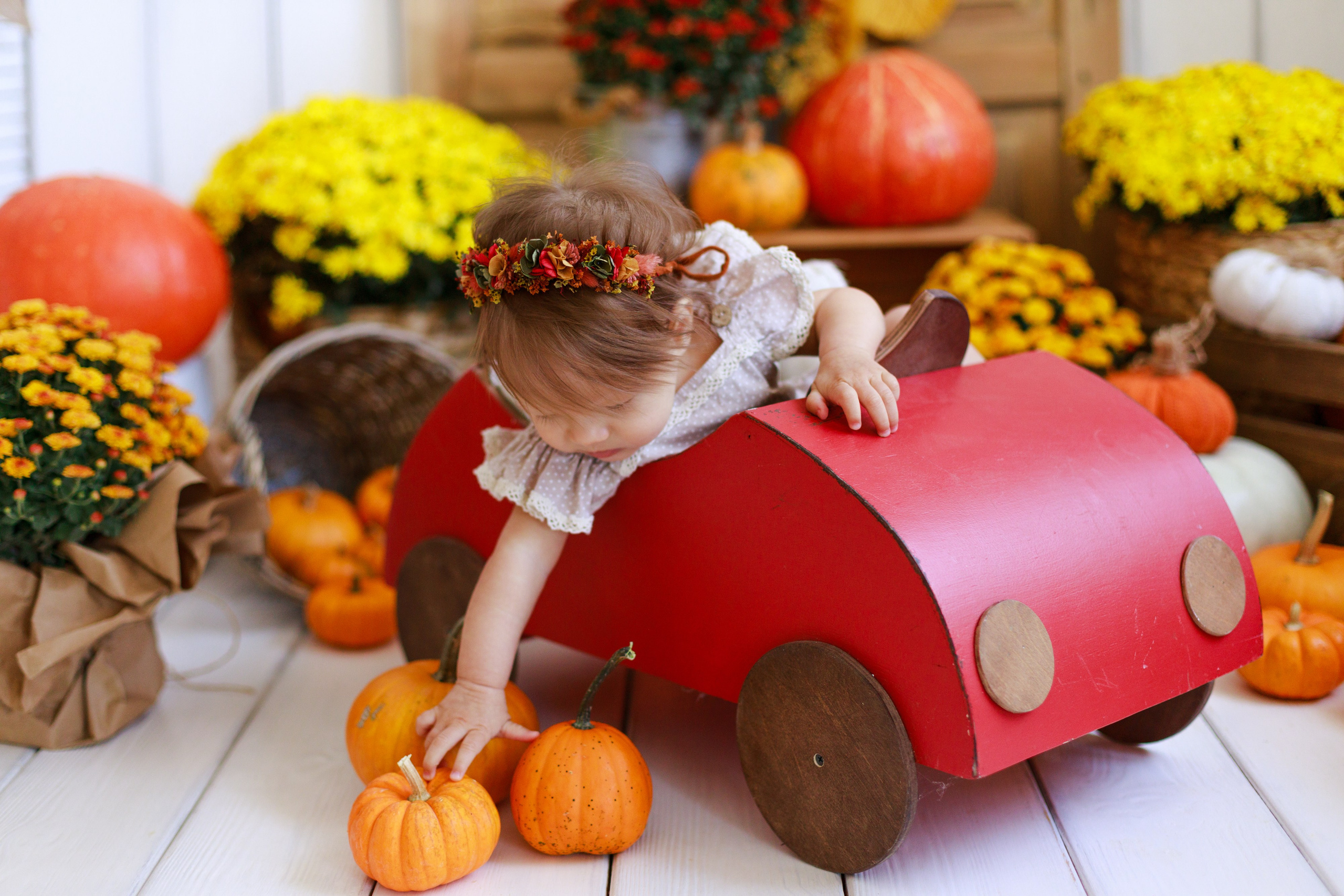 Осенняя детская фотосессия с тыквами и кроликом в Краснодаре. Детский и семейный фотограф в Краснодаре Альбина Морозова