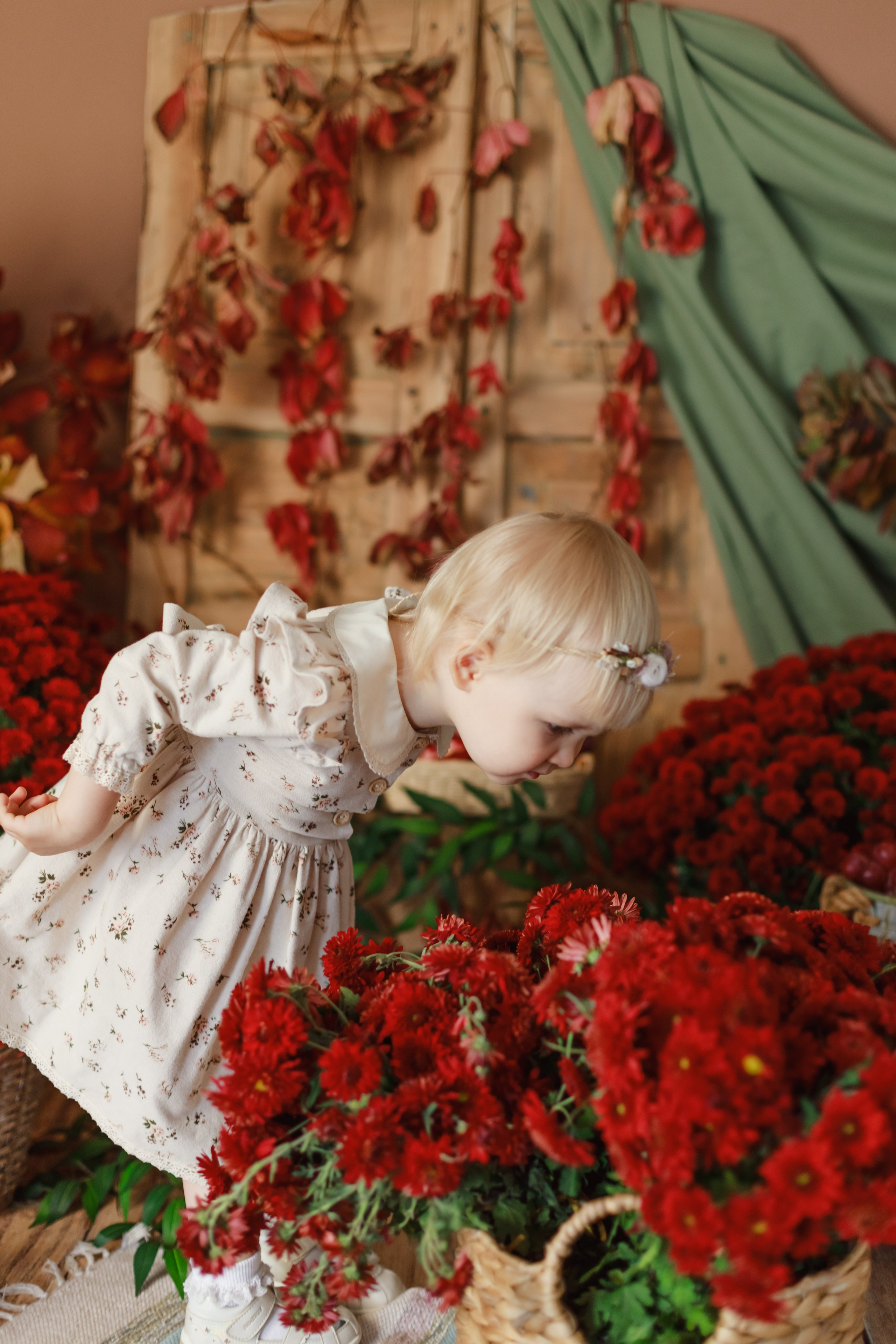 Гранаты 2024. Детский и семейный фотограф в Краснодаре Альбина Морозова