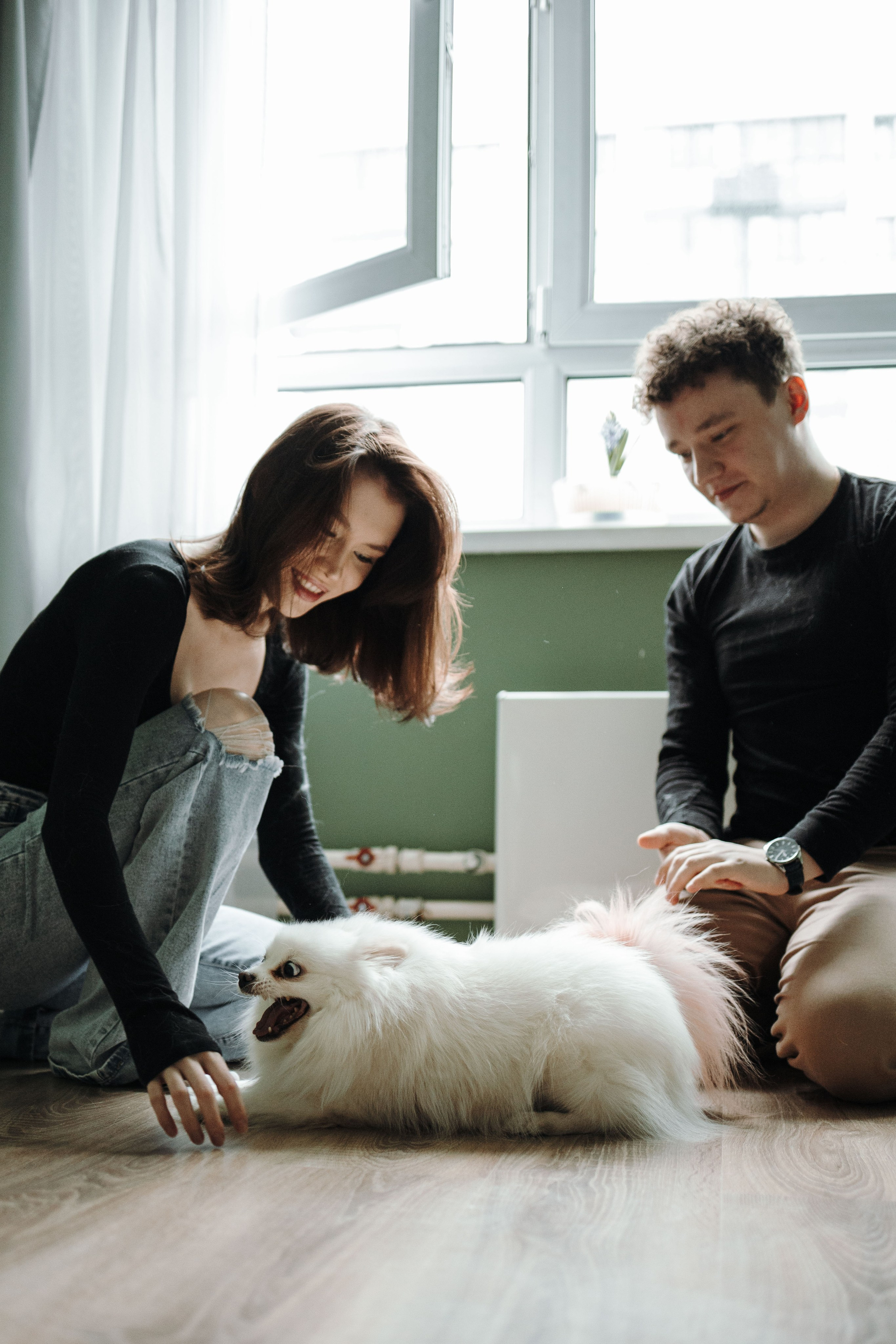 Шпиц Мася и ее семья